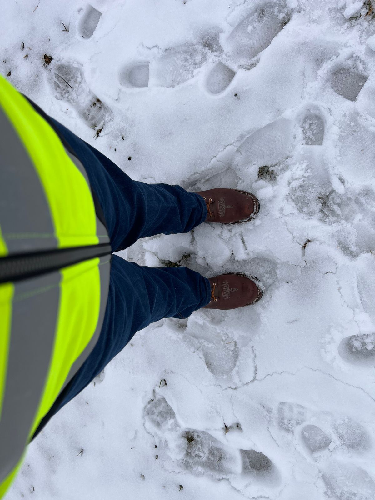 Photo by dieseldoc25 on February 15, 2026 of the Nicks Packer in Horween Timber Roanoke.