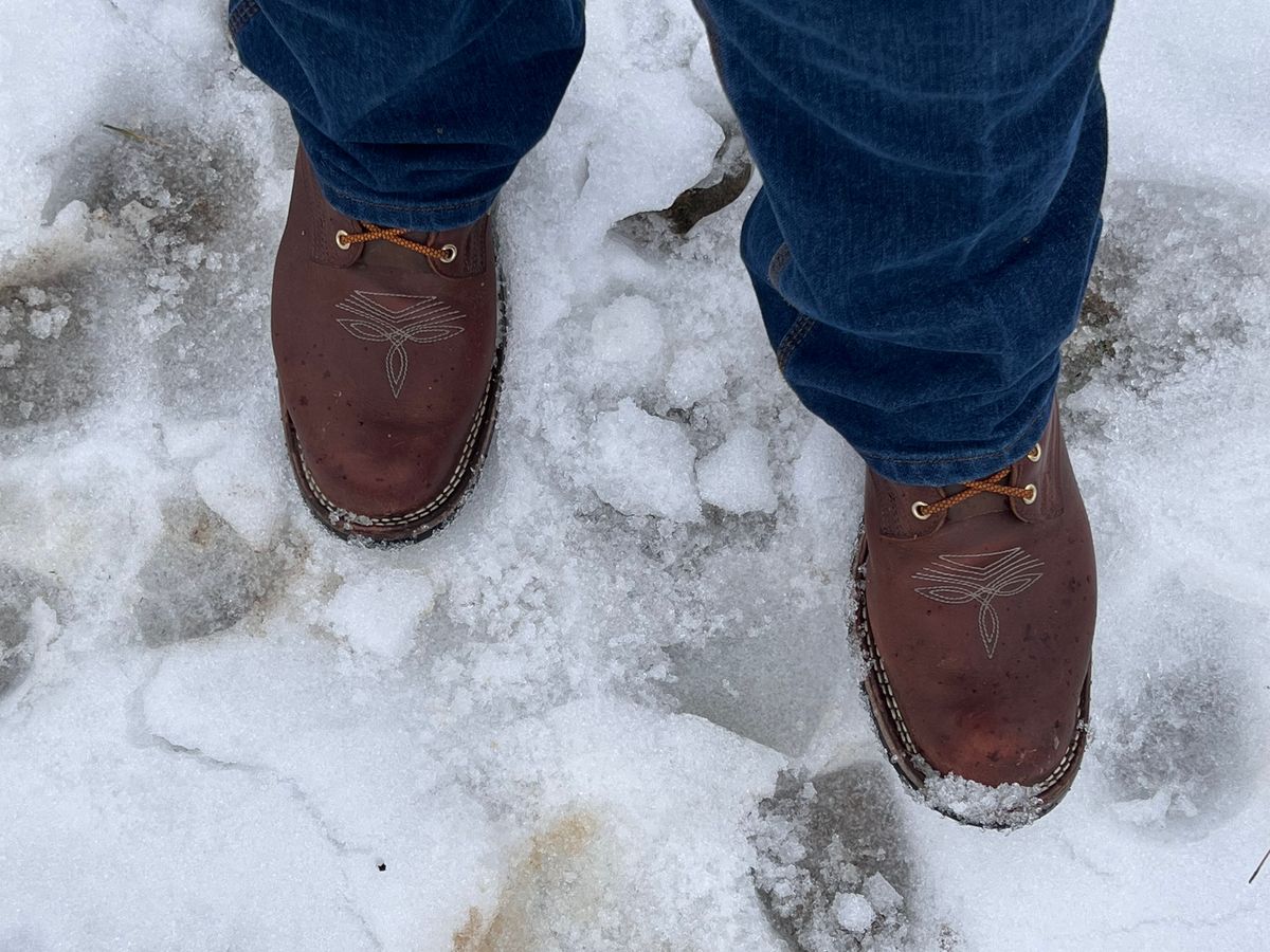 Photo by dieseldoc25 on February 15, 2026 of the Nicks Packer in Horween Timber Roanoke.