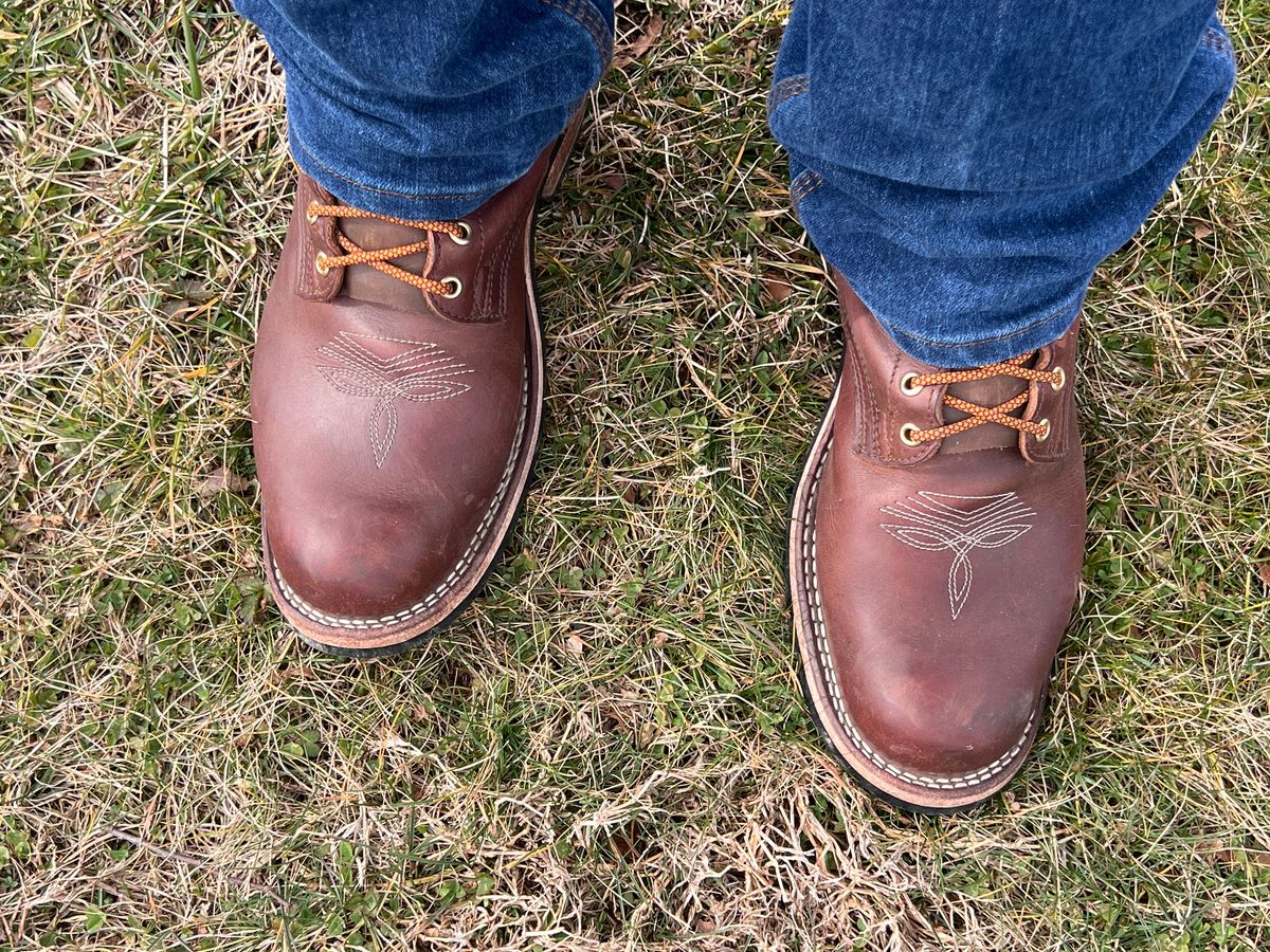 Photo by dieseldoc25 on February 21, 2026 of the Nicks Packer in Horween Timber Roanoke.