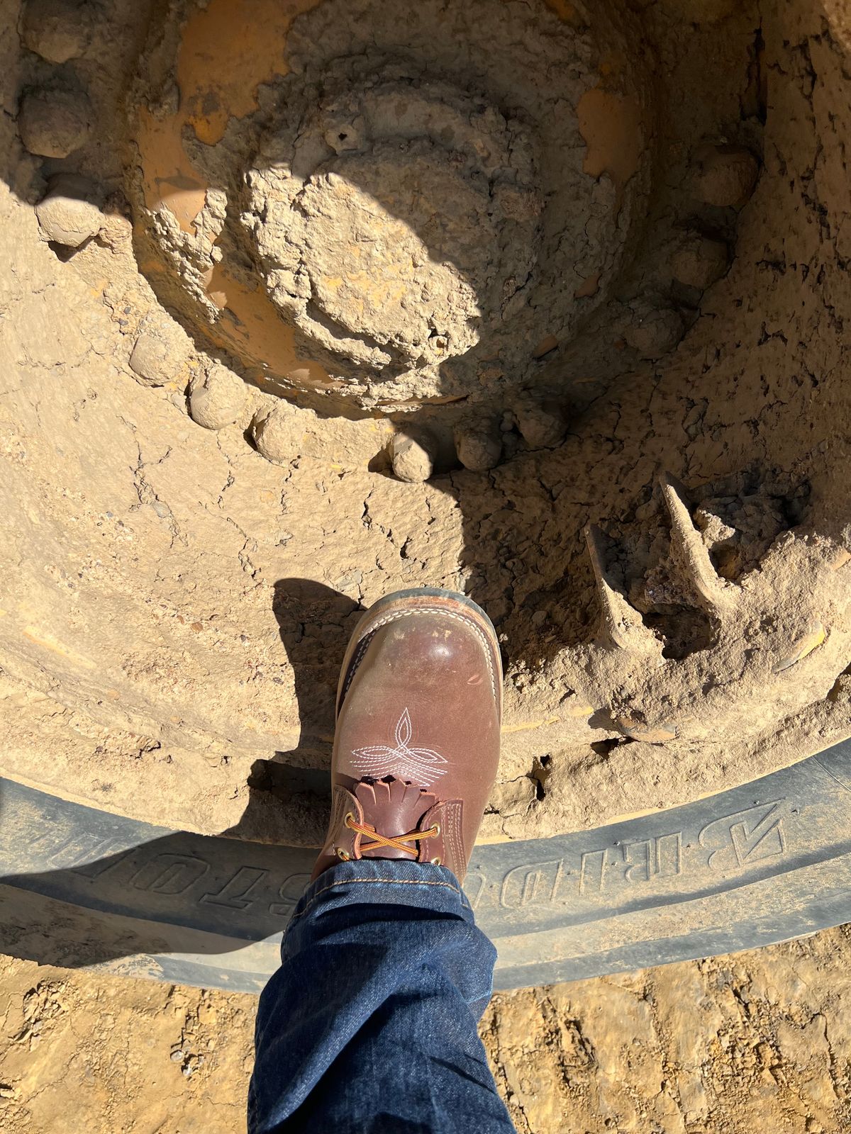 Photo by dieseldoc25 on November 12, 2025 of the Nicks Packer in Horween Timber Roanoke.