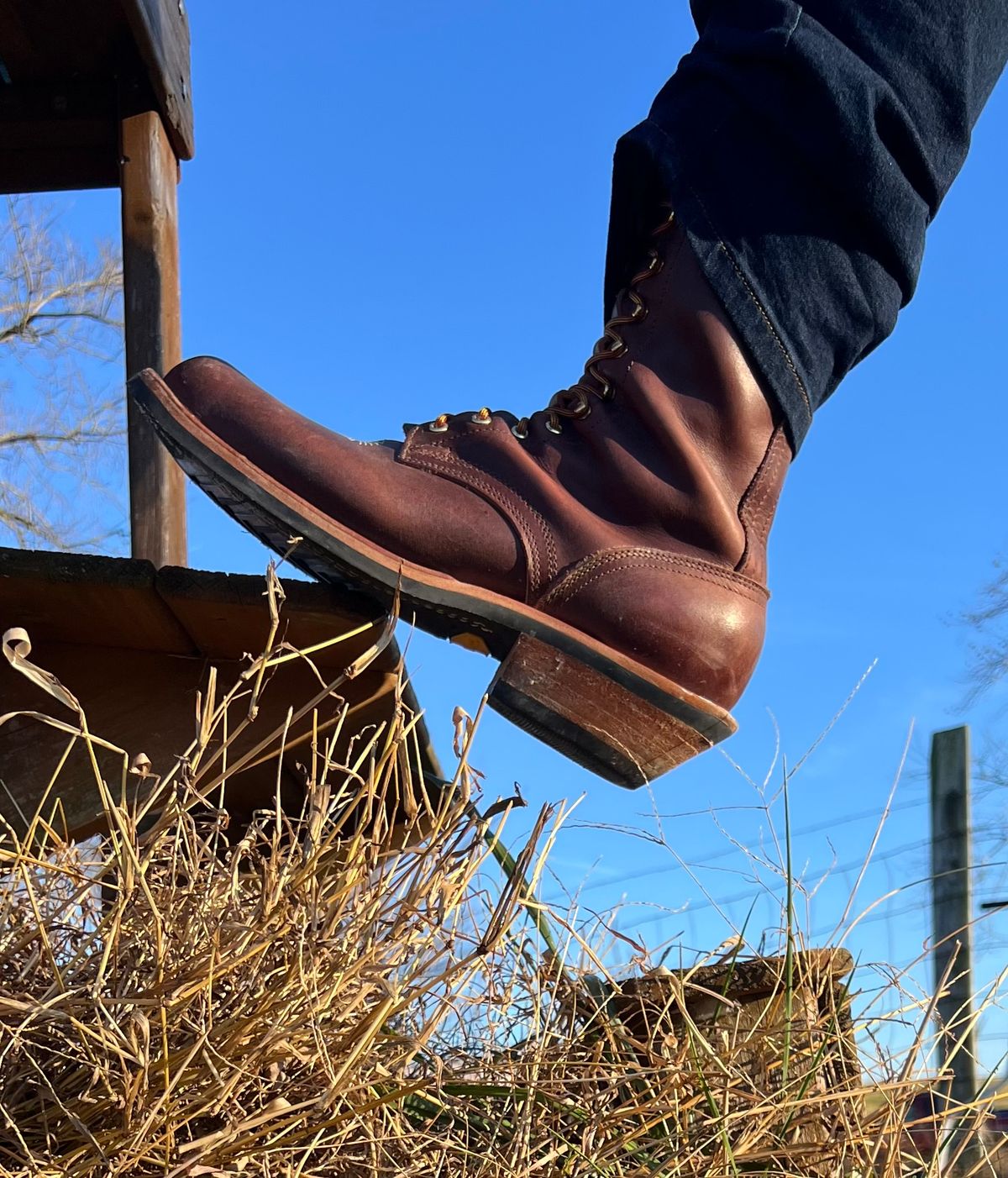 Photo by dieseldoc25 on November 23, 2025 of the Nicks Packer in Horween Timber Roanoke.