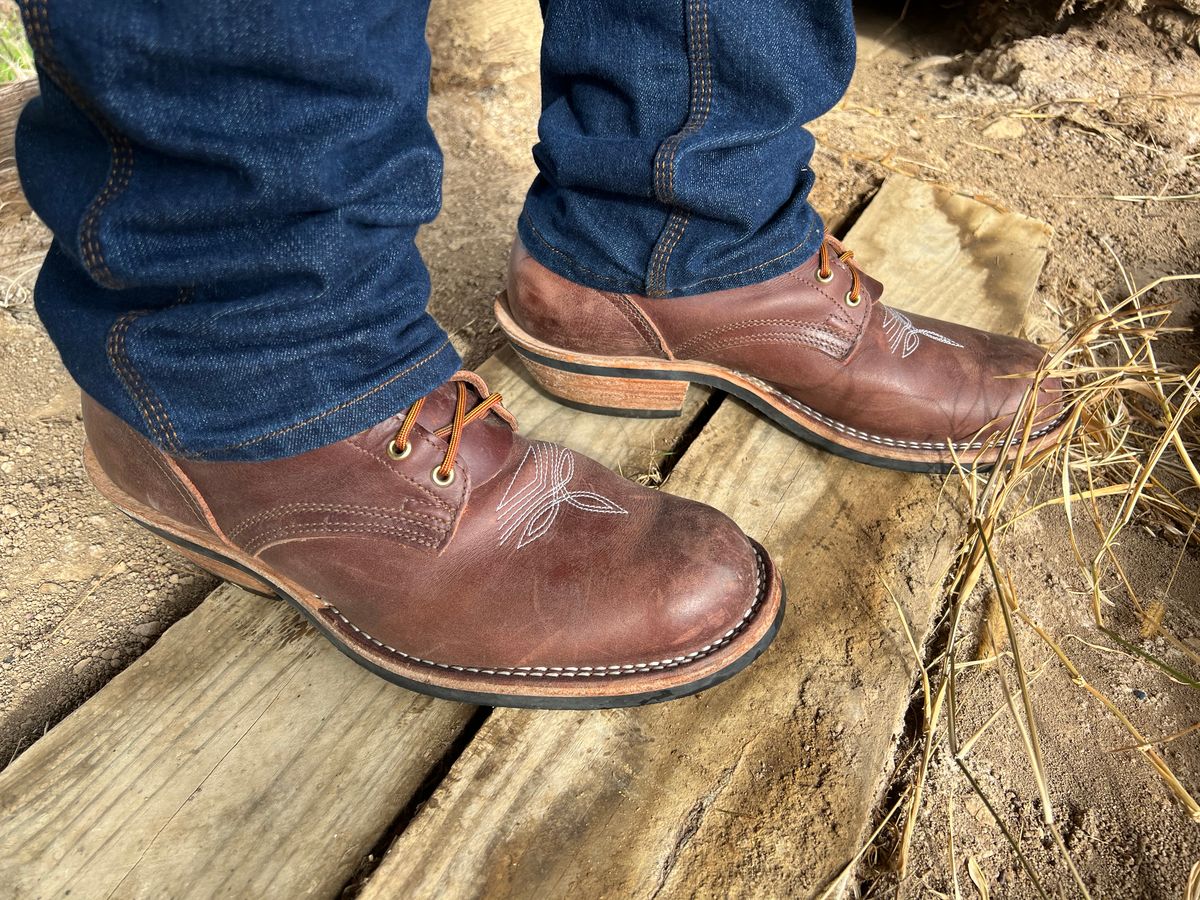 Photo by dieseldoc25 on November 30, 2025 of the Nicks Packer in Horween Timber Roanoke.