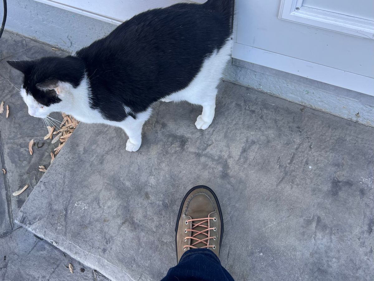 Photo by dieseldoc25 on April 20, 2026 of the BHHB Railtown Boot sneaker in Wickett & Craig Russet Traditional Harness.
