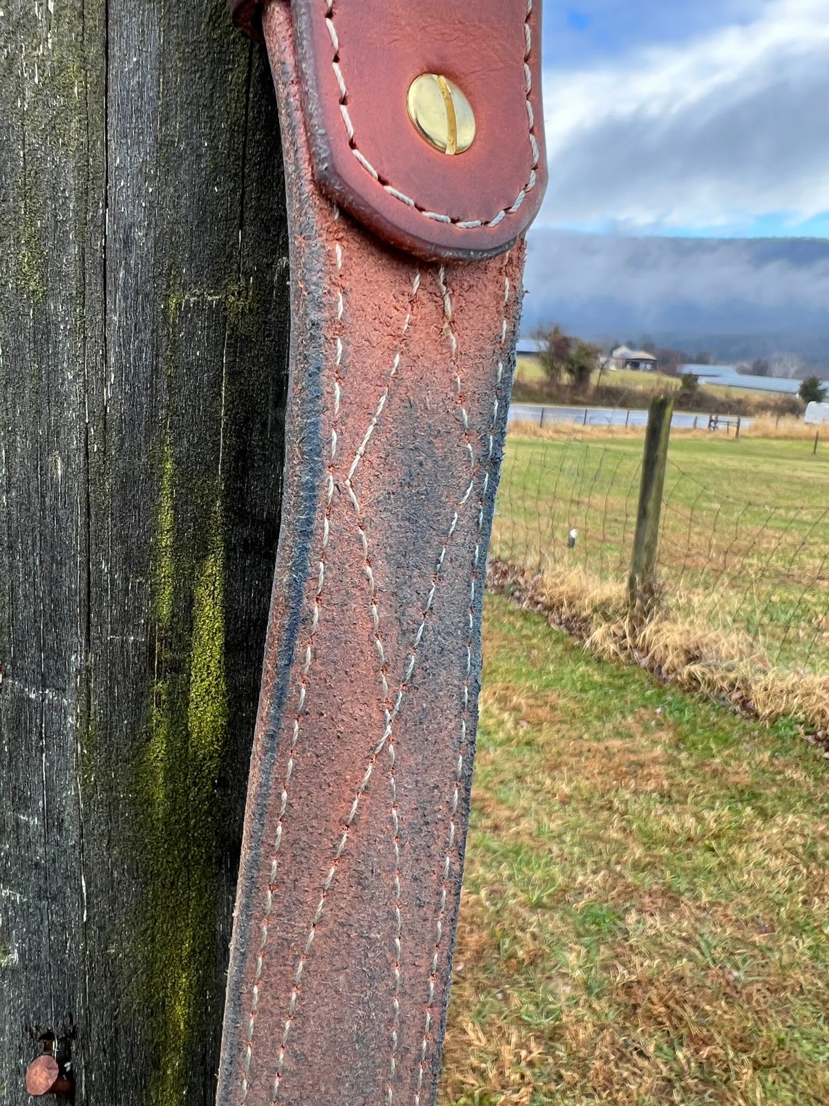 Photo by dieseldoc25 on December 2, 2025 of the Nicks Appaloosa Gunslinger in Wickett & Craig Natural Double Stuffed.