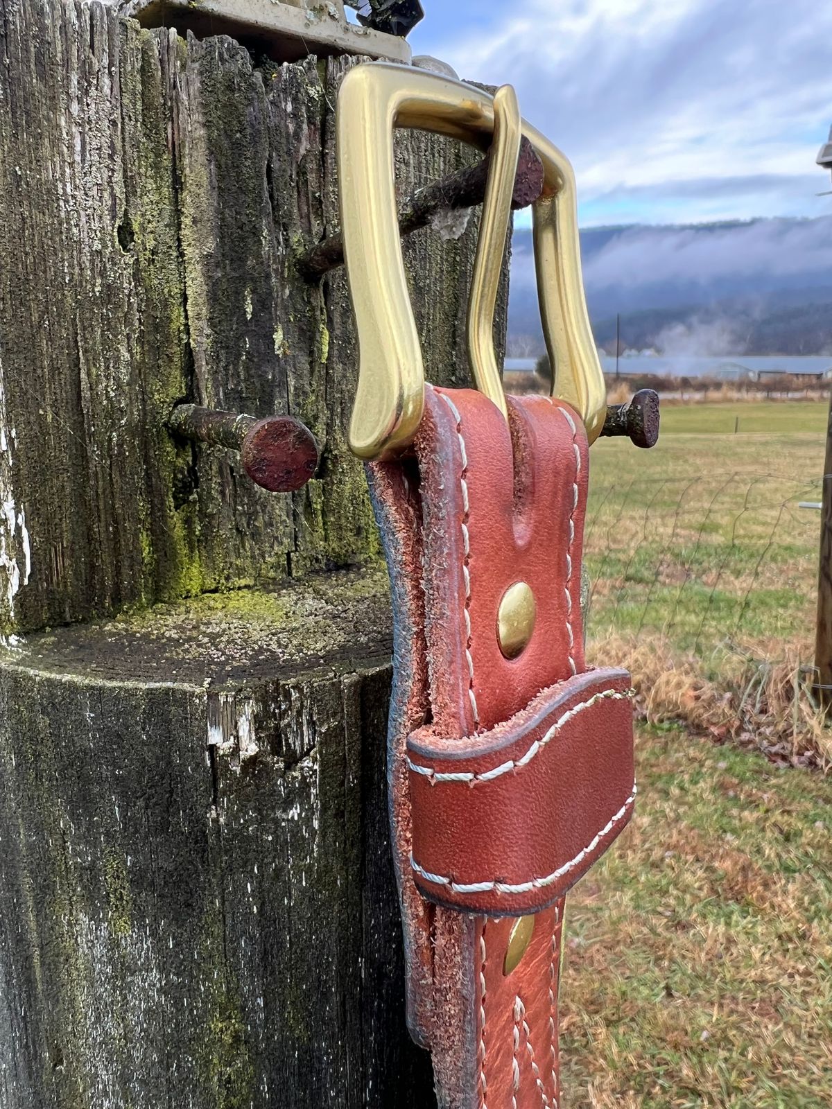 Photo by dieseldoc25 on December 2, 2025 of the Nicks Appaloosa Gunslinger in Wickett & Craig Natural Double Stuffed.