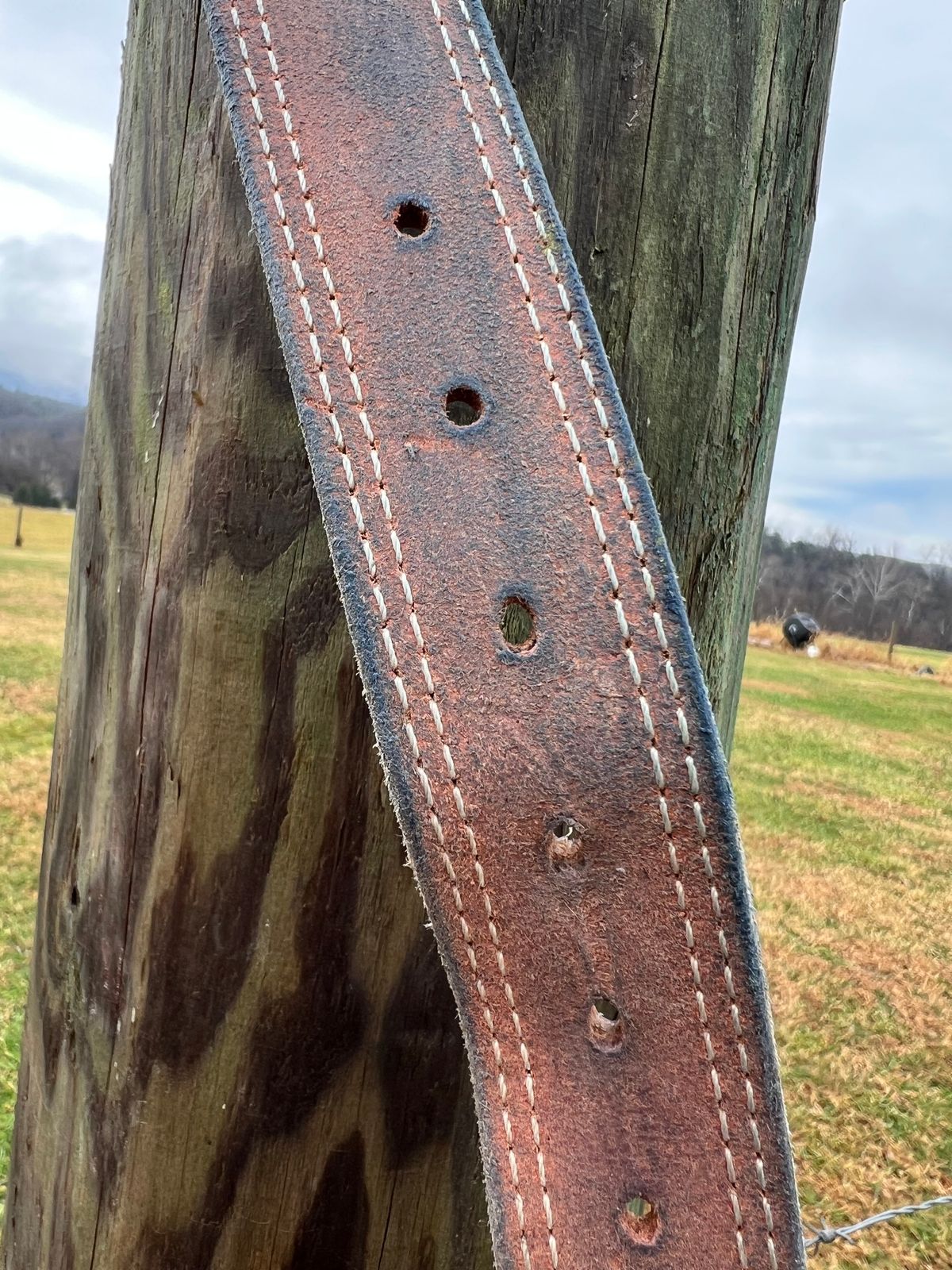 Photo by dieseldoc25 on December 2, 2025 of the Nicks Appaloosa Gunslinger in Wickett & Craig Natural Double Stuffed.