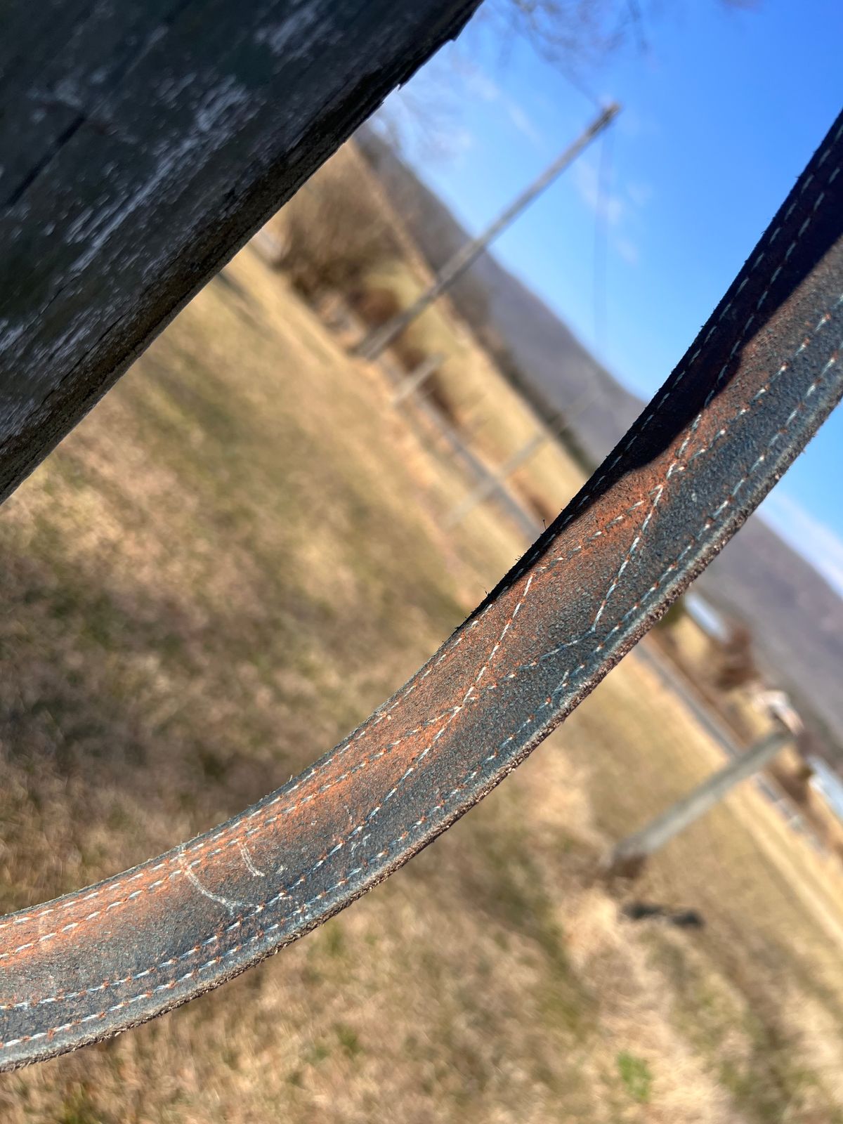 Photo by dieseldoc25 on March 1, 2026 of the Nicks Appaloosa Gunslinger in Wickett & Craig Natural Double Stuffed.