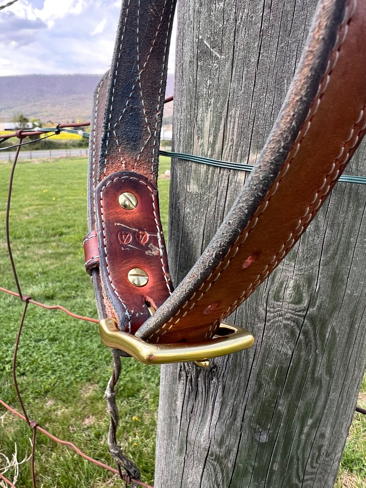 Photo by dieseldoc25 on April 4, 2026 of the Nicks Appaloosa Gunslinger in Wickett & Craig Natural Double Stuffed.