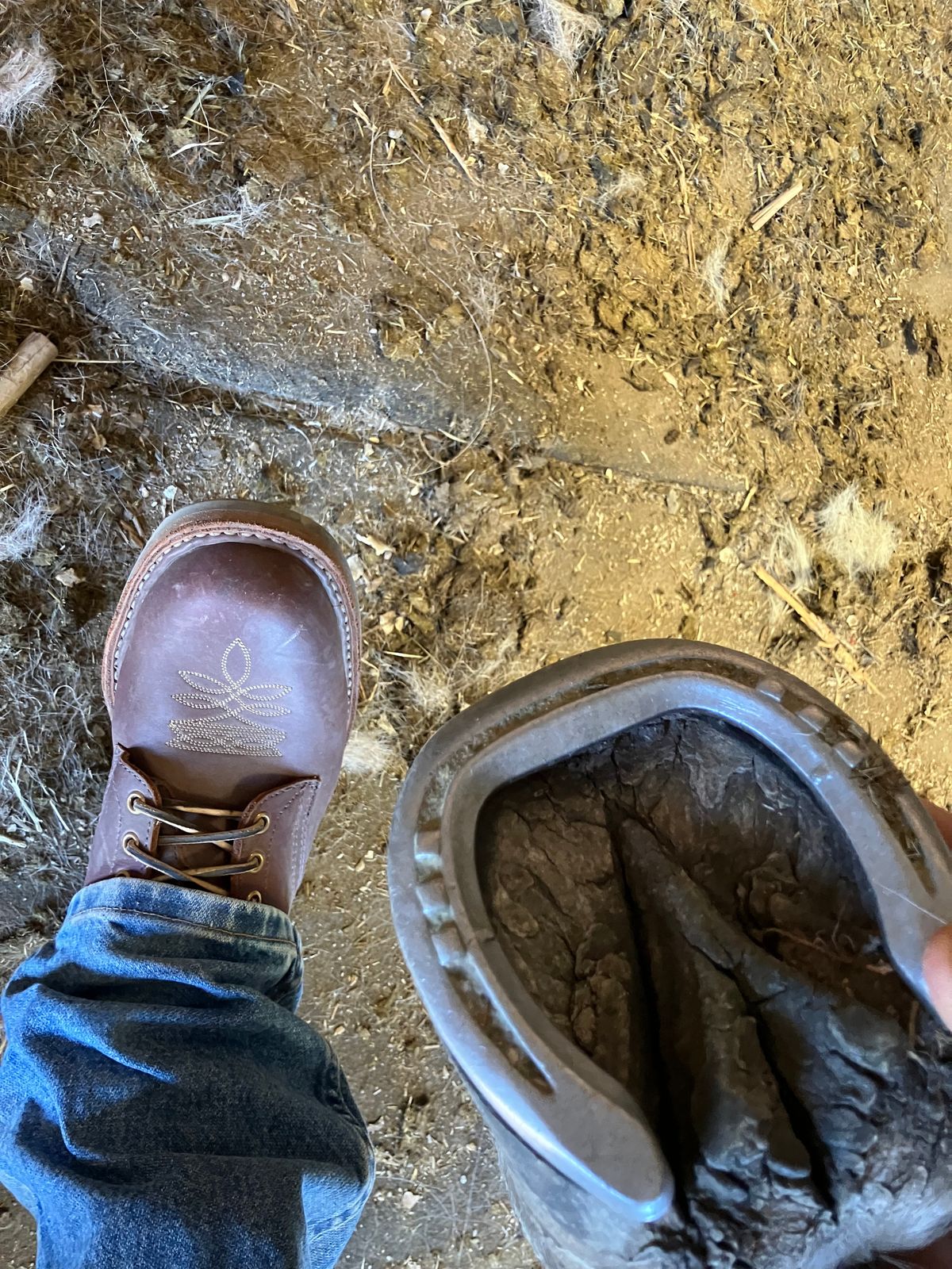 Photo by SCHorseshoe on April 21, 2026 of the White's Smokejumper in Seidel Red Dog Oil Tan.