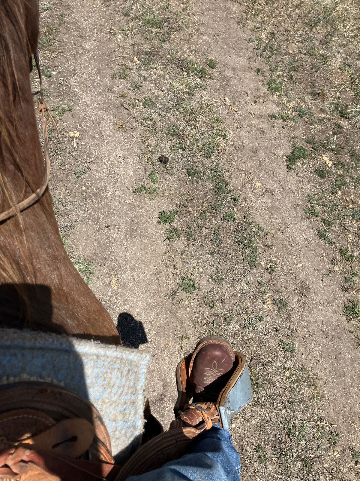 Photo by SCHorseshoe on April 21, 2026 of the White's Smokejumper in Seidel Red Dog Oil Tan.