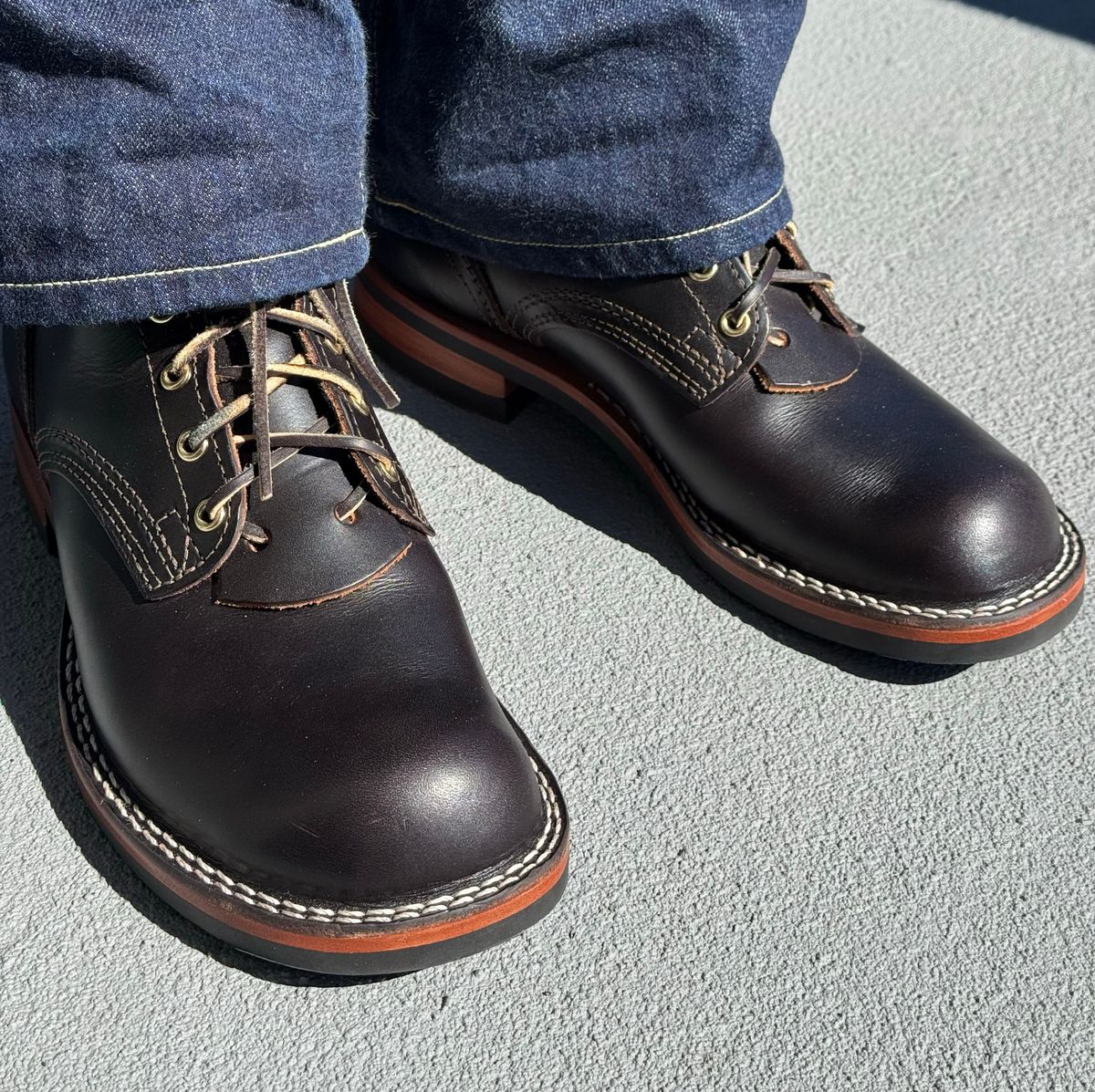 Photo by drmiles on October 20, 2025 of the Nicks Falcon in Wickett & Craig Java Double Stuffed.