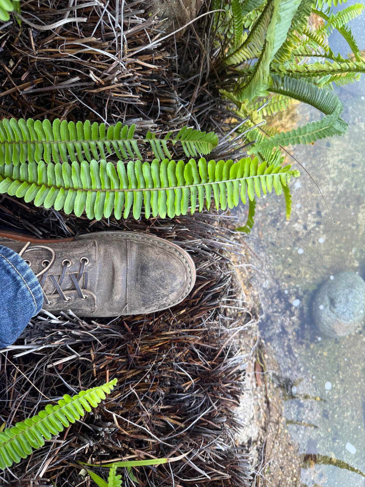 Photo by kinnikuman on November 19, 2025 of the White's MP-Sherman Toe Cap in C.f. Stead Tobacco Waxy Commander.