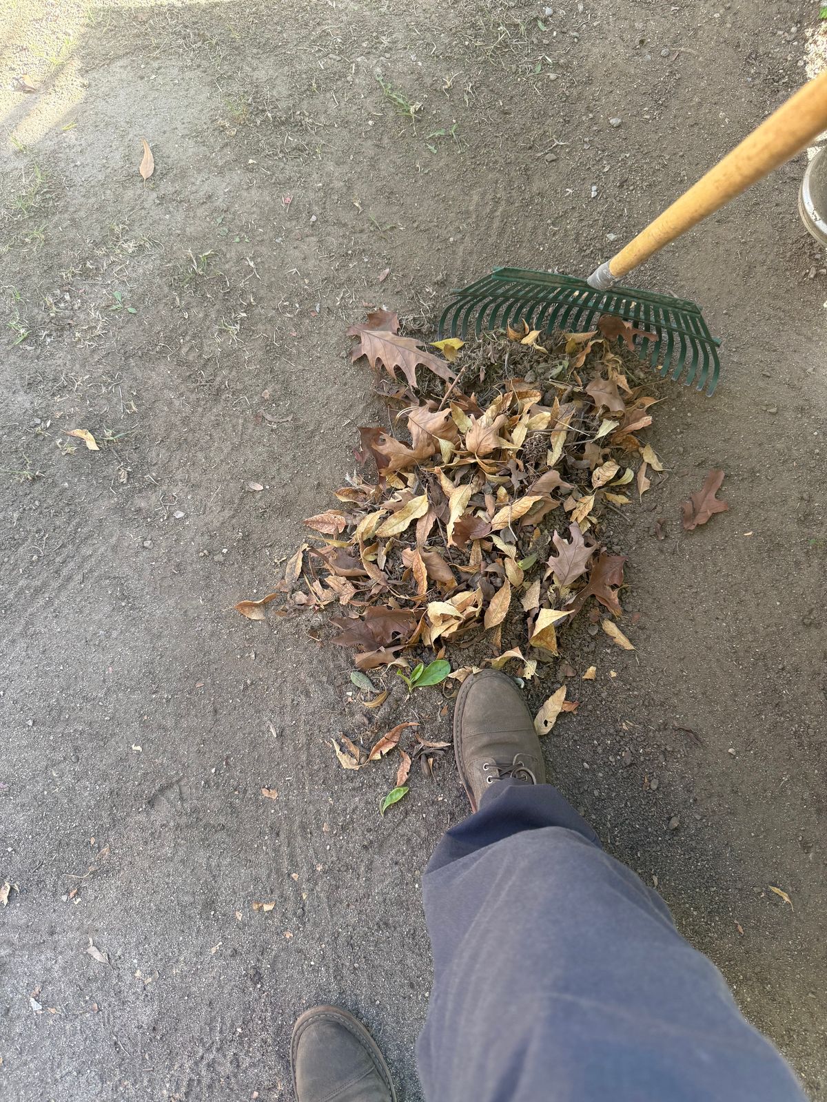 Photo by kinnikuman on December 11, 2025 of the White's MP-Sherman Toe Cap in C.f. Stead Tobacco Waxy Commander.