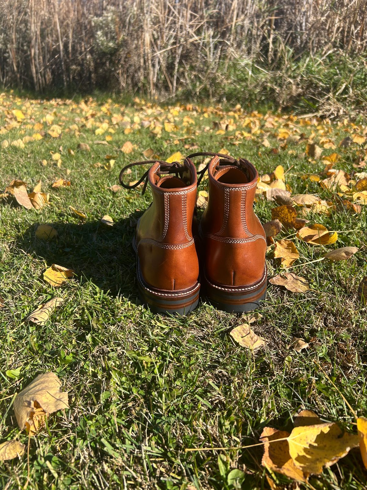 Photo by iambaruch on November 3, 2025 of the Caswell Lisbon in Maryam Toscanello TPR Horsebutt.