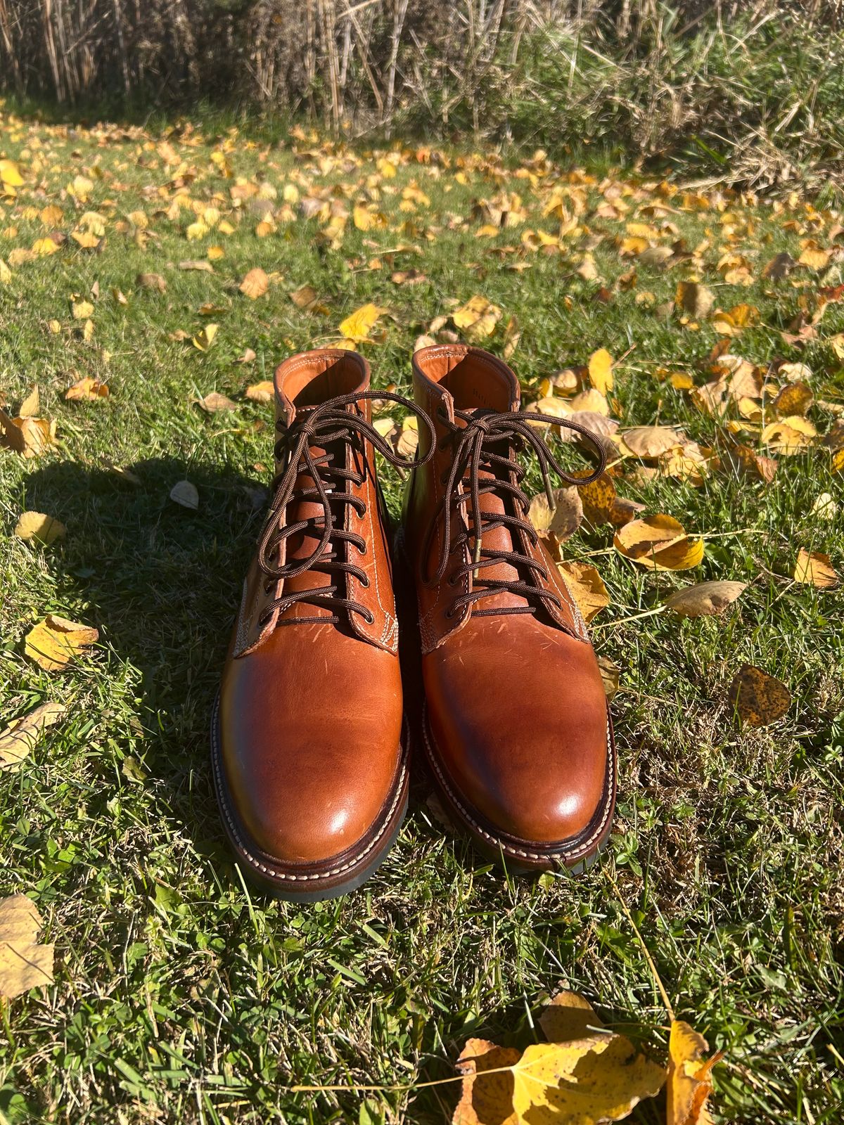 Photo by iambaruch on November 3, 2025 of the Caswell Lisbon in Maryam Toscanello TPR Horsebutt.