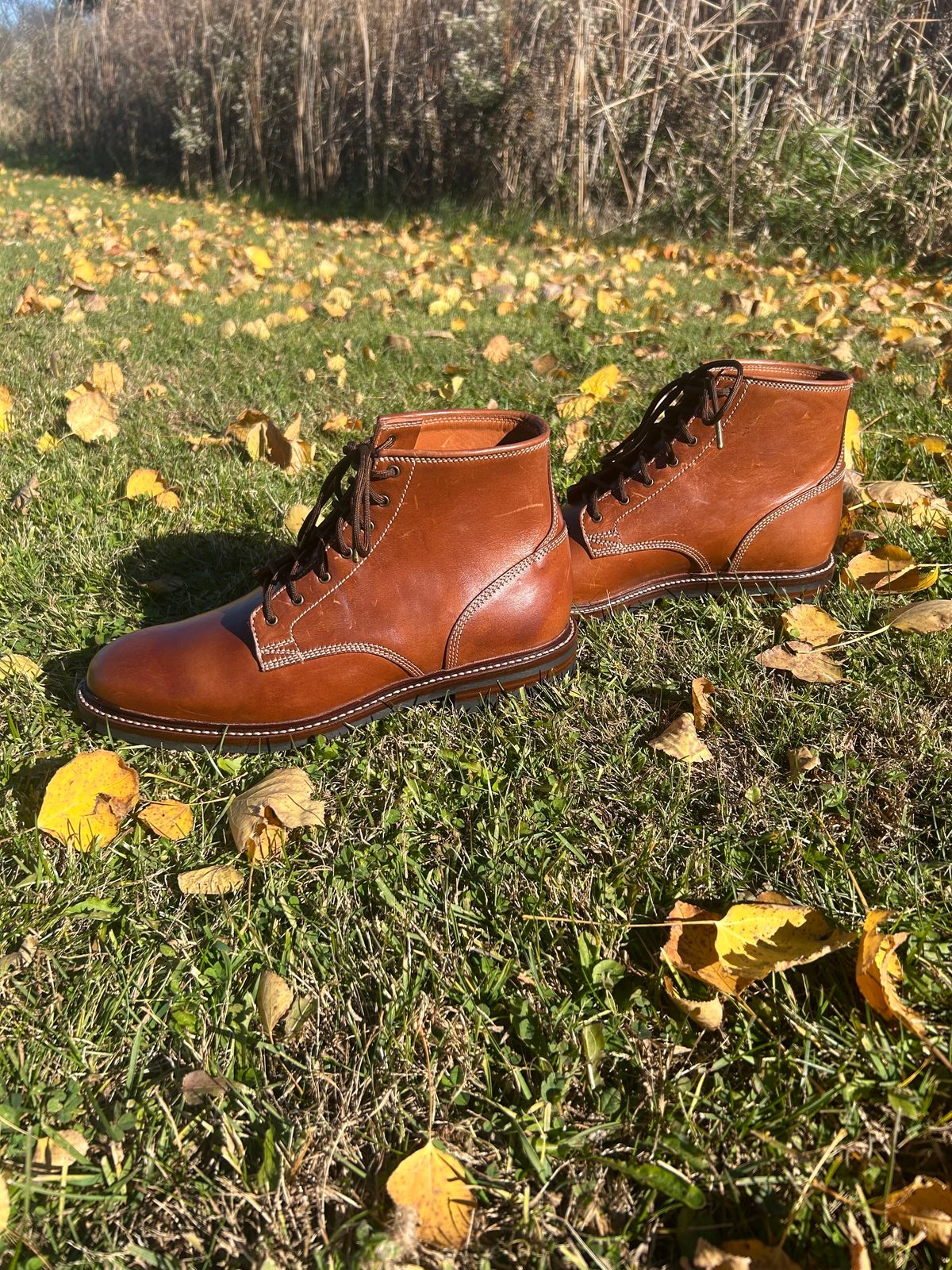 Photo by iambaruch on November 3, 2025 of the Caswell Lisbon in Maryam Toscanello TPR Horsebutt.