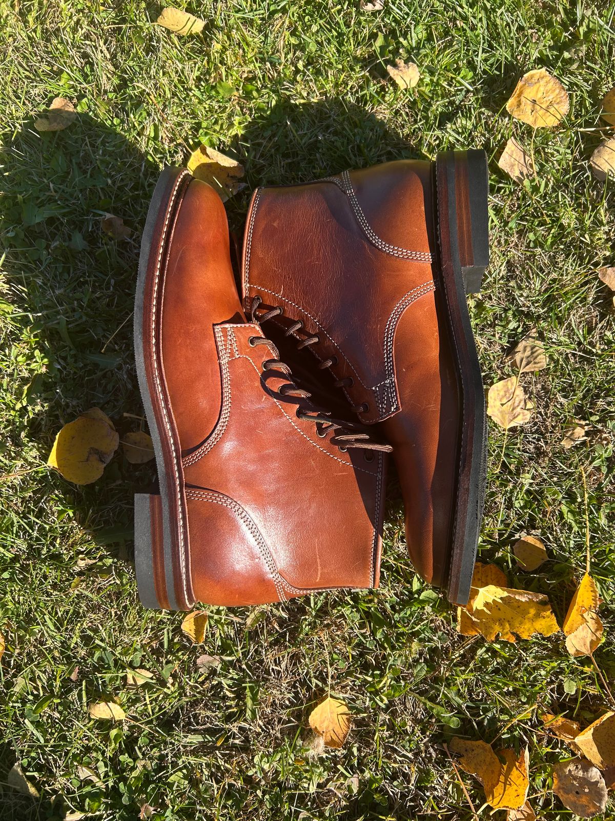 Photo by iambaruch on November 3, 2025 of the Caswell Lisbon in Maryam Toscanello TPR Horsebutt.