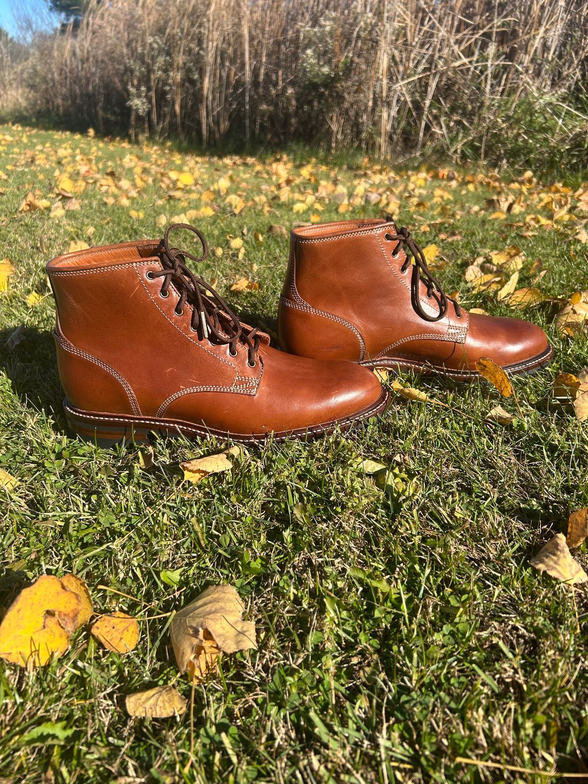 Photo by iambaruch on November 3, 2025 of the Caswell Lisbon in Maryam Toscanello TPR Horsebutt.