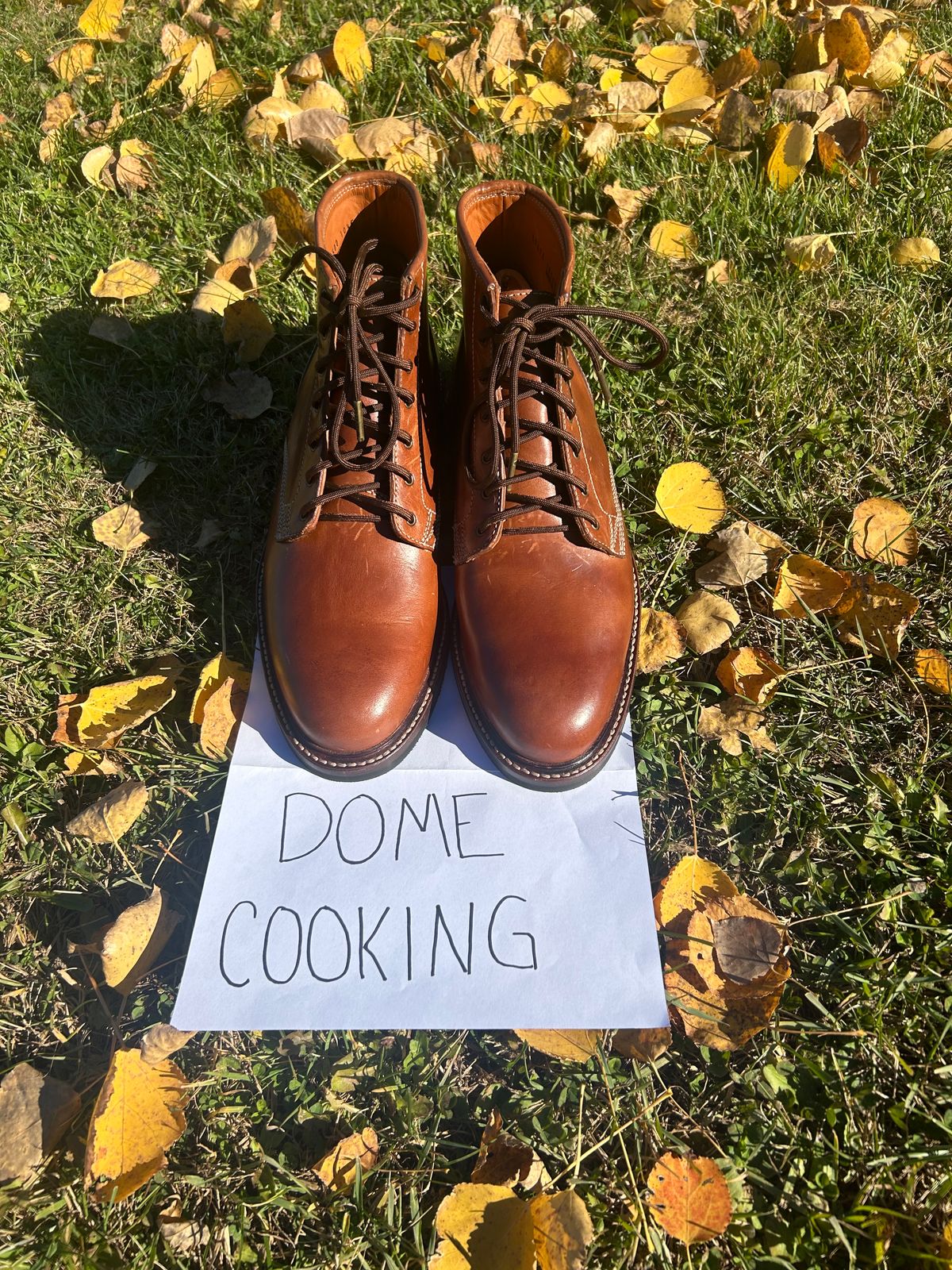 Photo by iambaruch on November 3, 2025 of the Caswell Lisbon in Maryam Toscanello TPR Horsebutt.