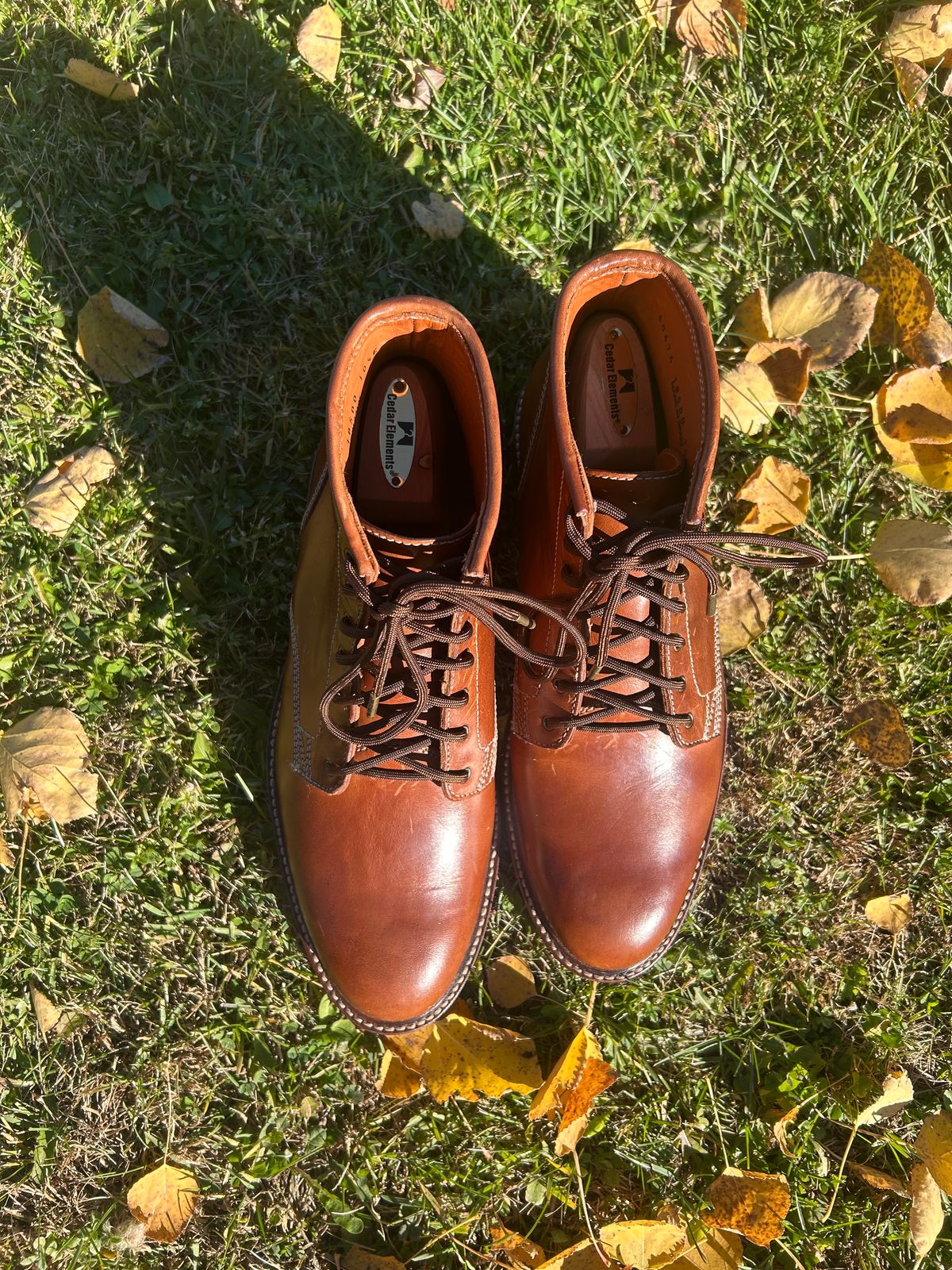 Photo by iambaruch on November 3, 2025 of the Caswell Lisbon in Maryam Toscanello TPR Horsebutt.