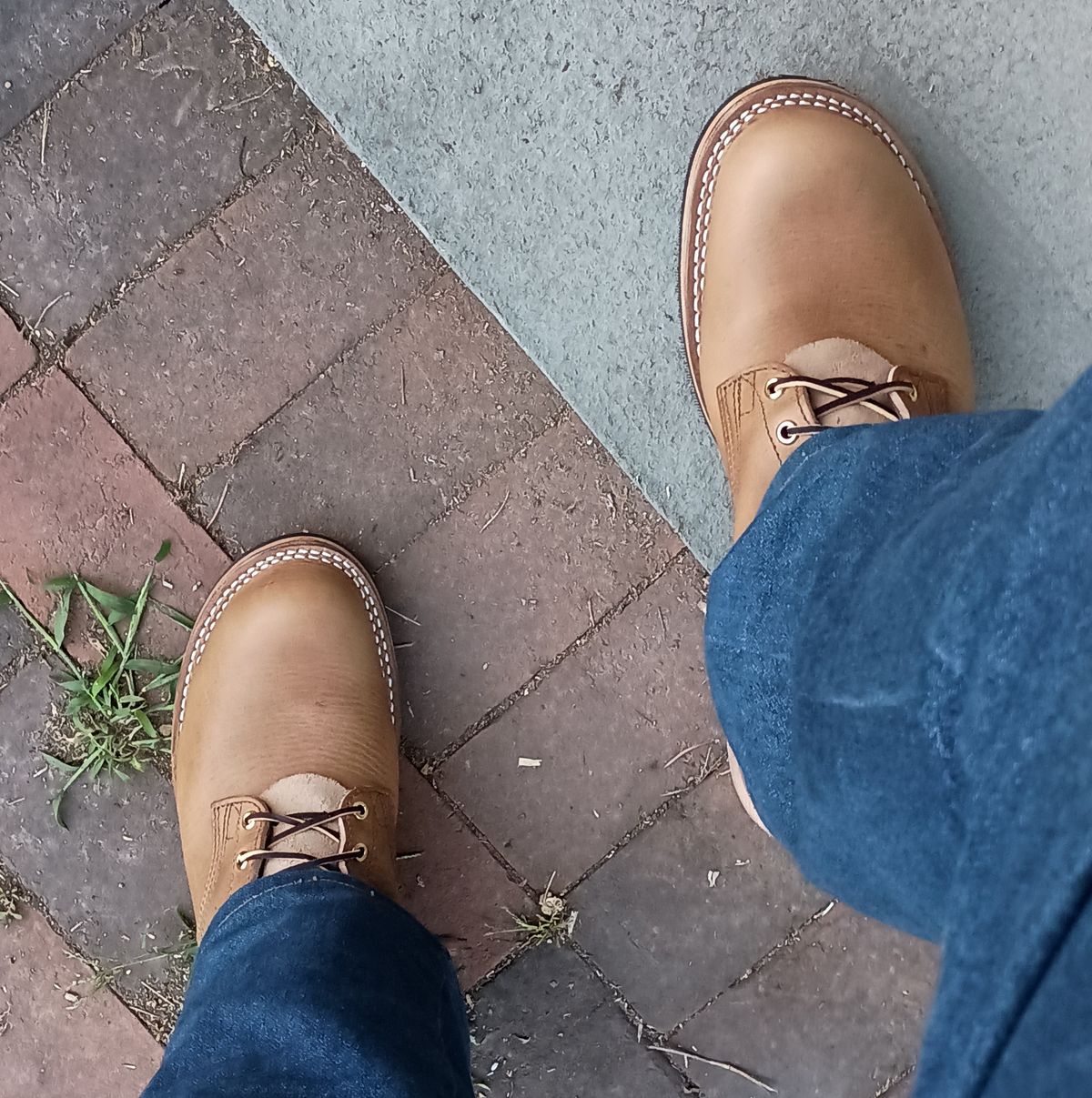 Photo by mnstrsvg21 on October 2, 2025 of the Nicks Lace Up Heritage in Horween Natural Cypress.