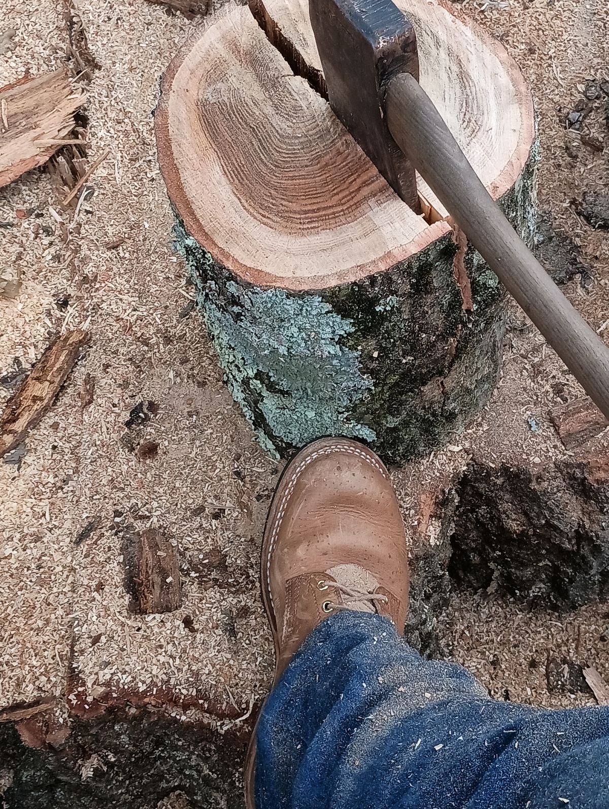 Photo by mnstrsvg21 on October 25, 2025 of the Nicks Lace Up Heritage in Horween Natural Cypress.