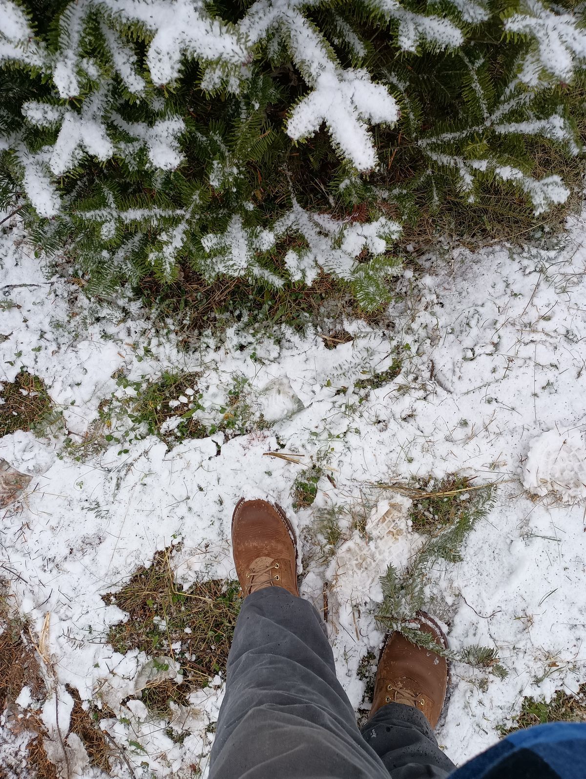 Photo by mnstrsvg21 on November 30, 2025 of the Nicks Lace Up Heritage in Horween Natural Cypress.