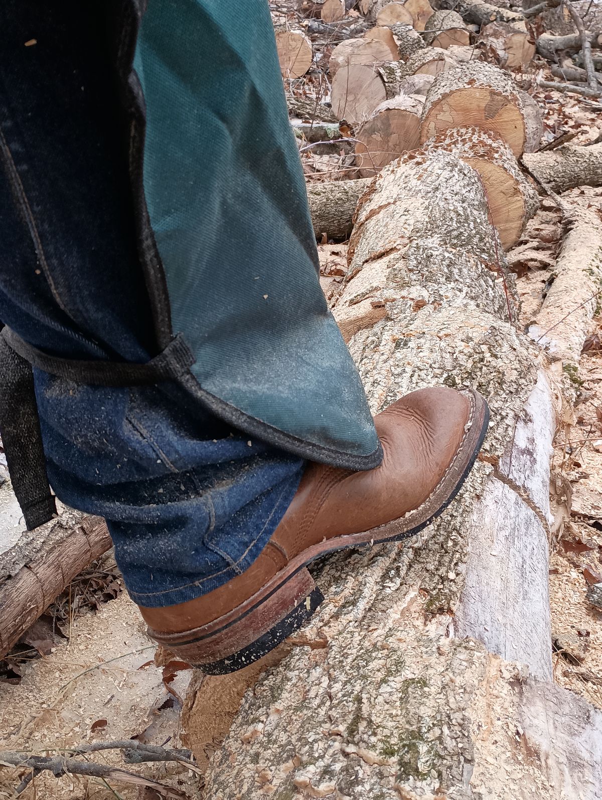 Photo by mnstrsvg21 on December 28, 2025 of the Nicks Lace Up Heritage in Horween Natural Cypress.