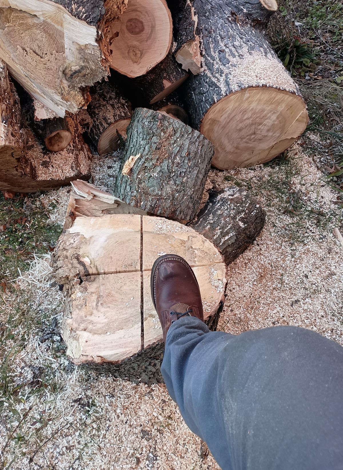 Photo by mnstrsvg21 on December 1, 2024 of the Nicks Lace Up Heritage in Italian Brown Cypress.