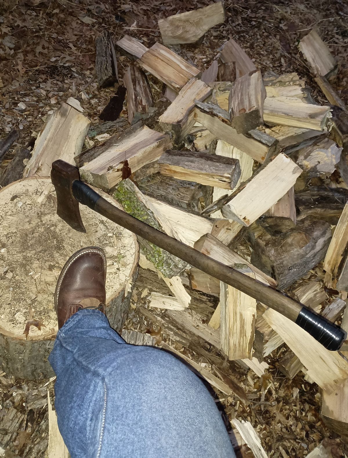Photo by mnstrsvg21 on January 3, 2025 of the Nicks Lace Up Heritage in Italian Brown Cypress.