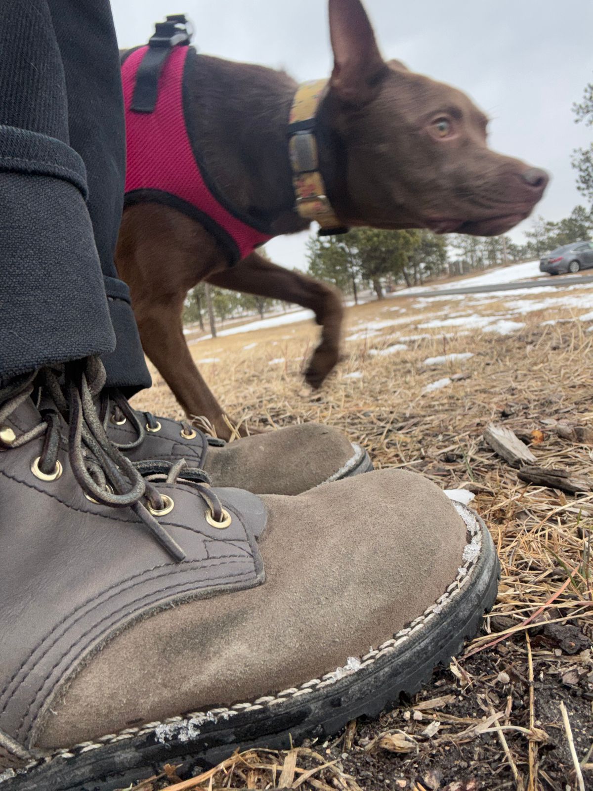 Photo by threepartheart on January 16, 2026 of the Nicks Ridgeline Thurman Zero Drop in 64 Ash Grey.