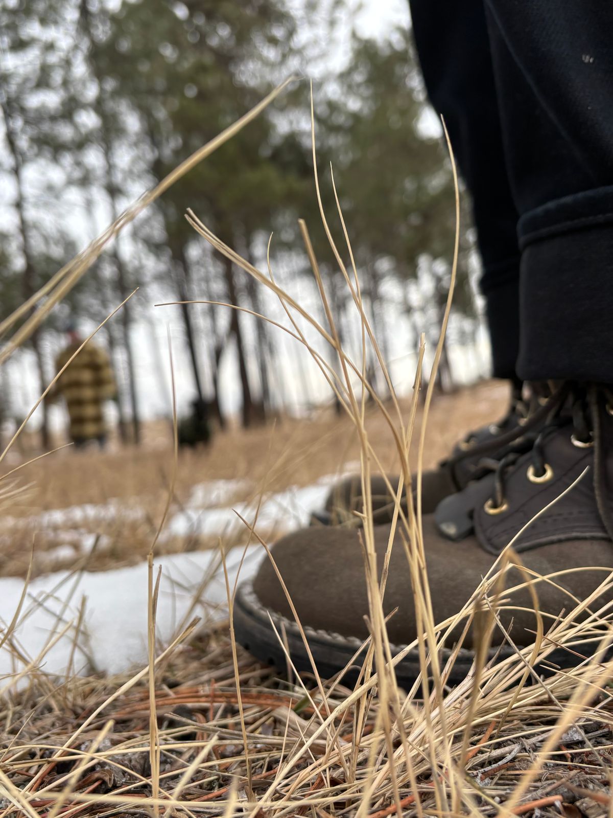 Photo by threepartheart on January 16, 2026 of the Nicks Ridgeline Thurman Zero Drop in 64 Ash Grey.