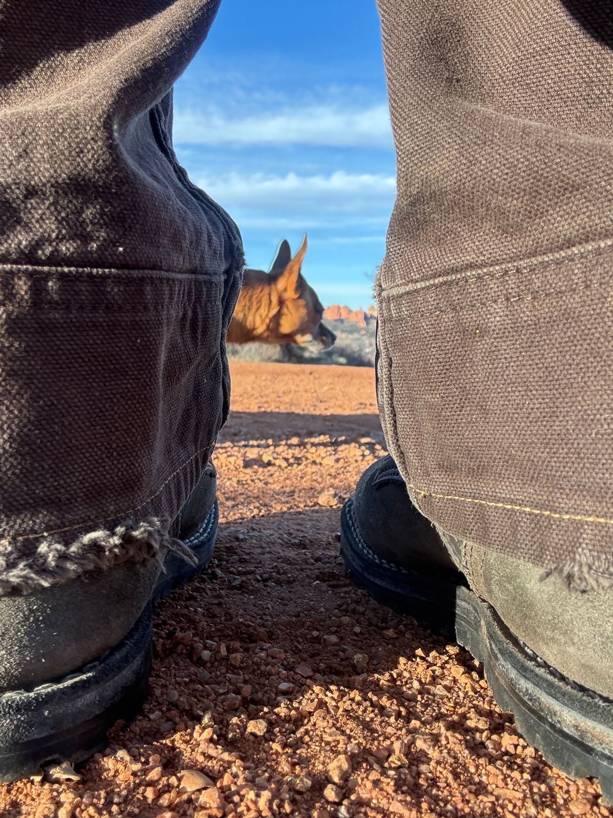 Photo by threepartheart on January 22, 2026 of the Nicks Ridgeline Thurman Zero Drop in 64 Ash Grey.