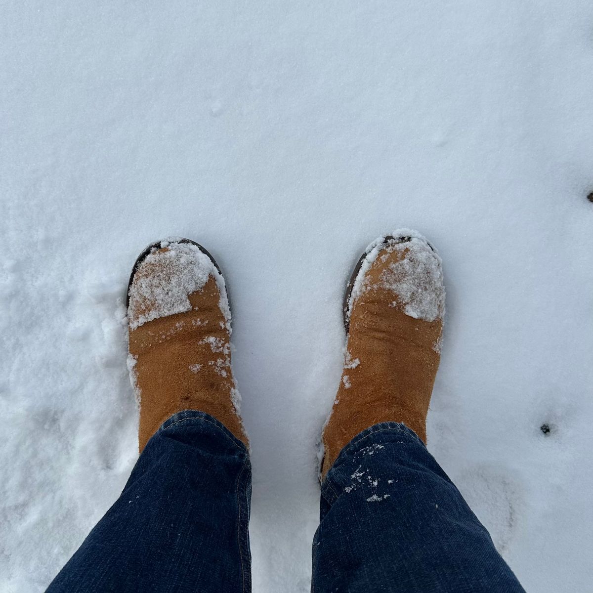 Photo by clausality on December 2, 2025 of the Rolling Dub Trio Casper Boot in Oiled Tobacco Suede.