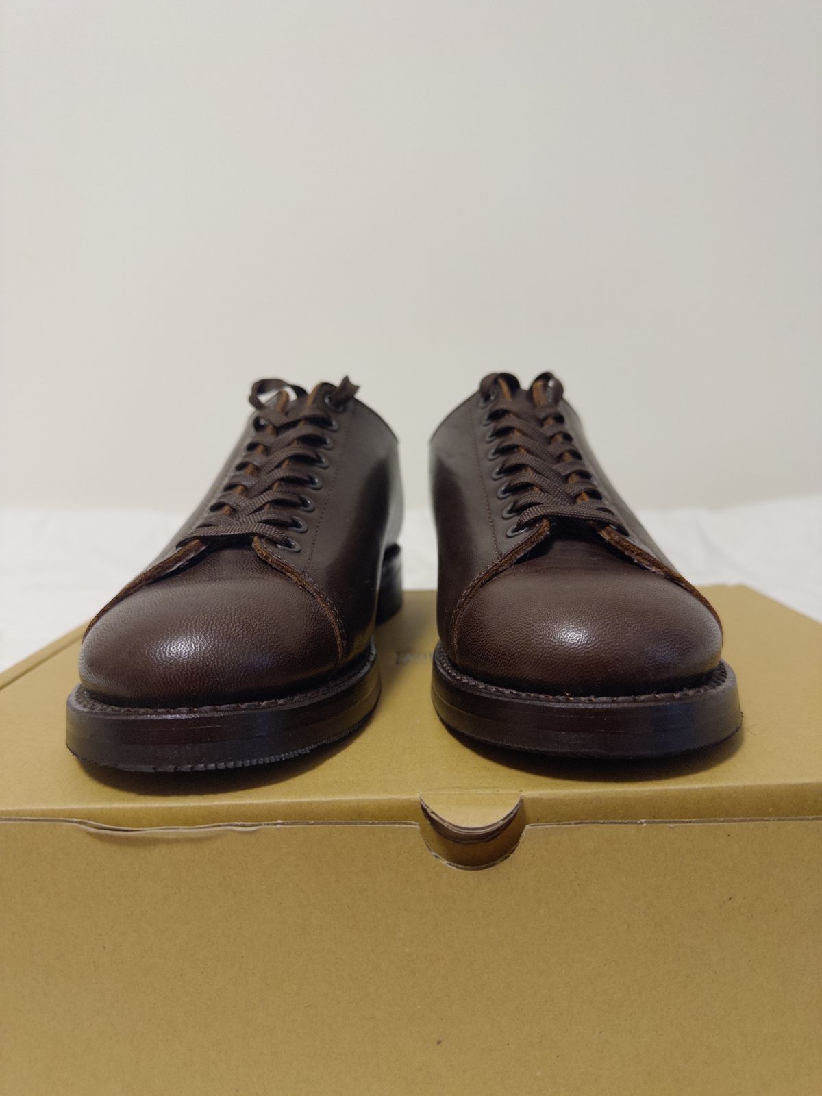 Photo by clausality on December 22, 2025 of the Addict Boots AB-04LW Short Monkey in Brown Horsehide.