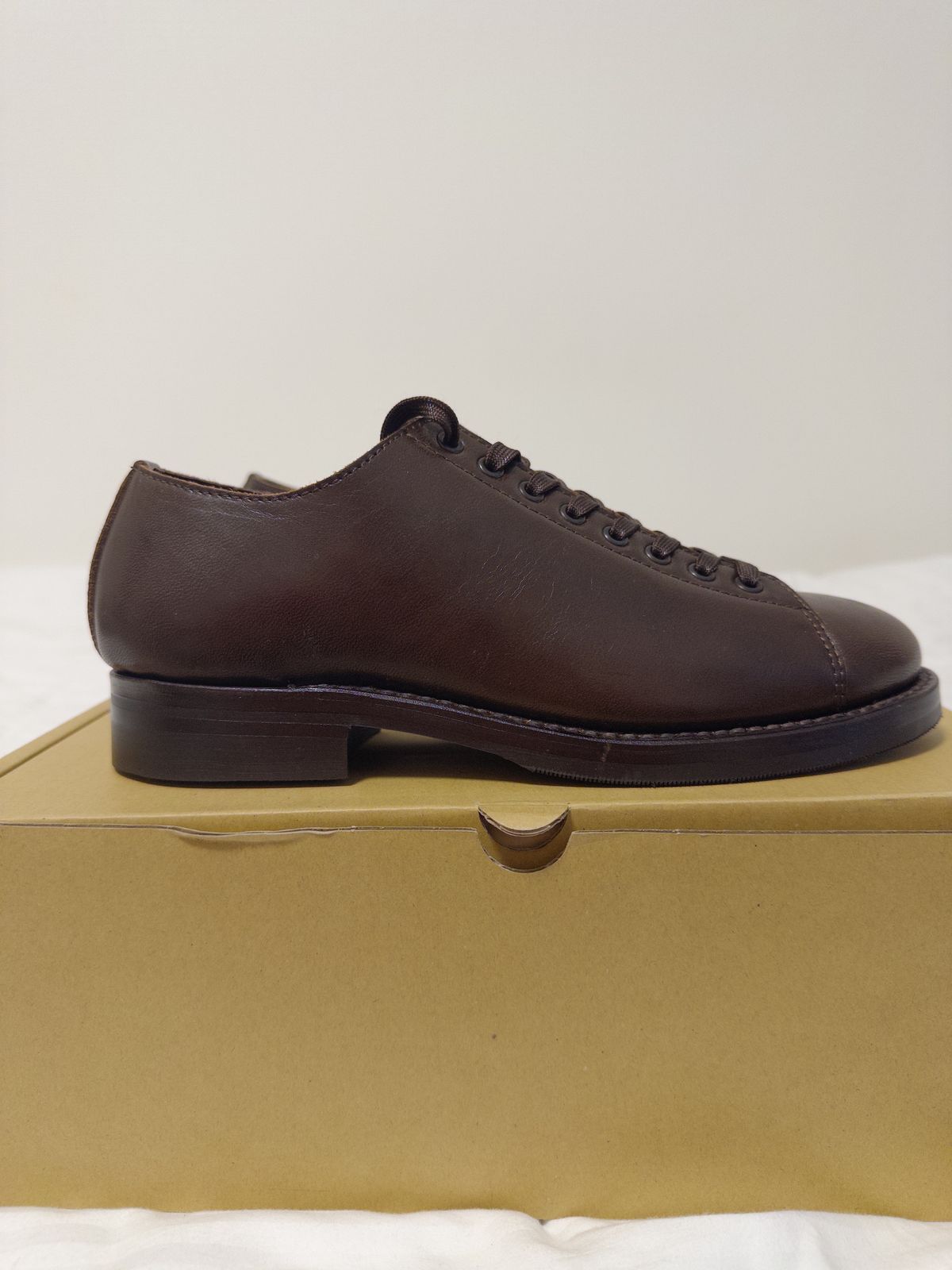 Photo by clausality on December 22, 2025 of the Addict Boots AB-04LW Short Monkey in Brown Horsehide.