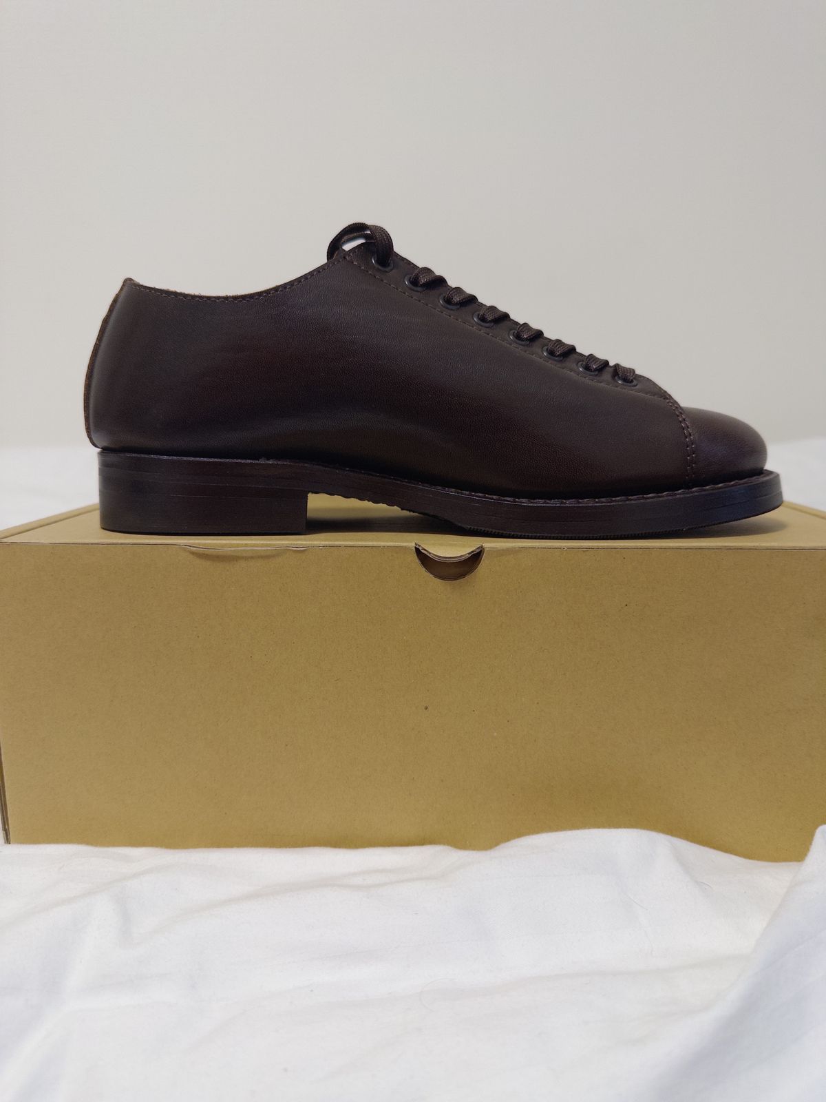 Photo by clausality on December 22, 2025 of the Addict Boots AB-04LW Short Monkey in Brown Horsehide.