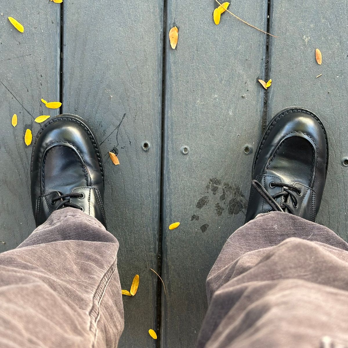 Photo by clausality on October 7, 2025 of the Rolling Dub Trio Coupen Low Moc in Black Horse Front #1020.