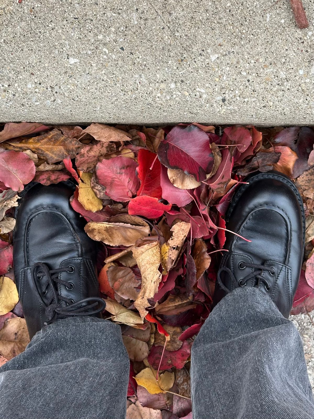 Photo by clausality on November 21, 2025 of the Rolling Dub Trio Coupen Low Moc in Black Horse Front #1020.