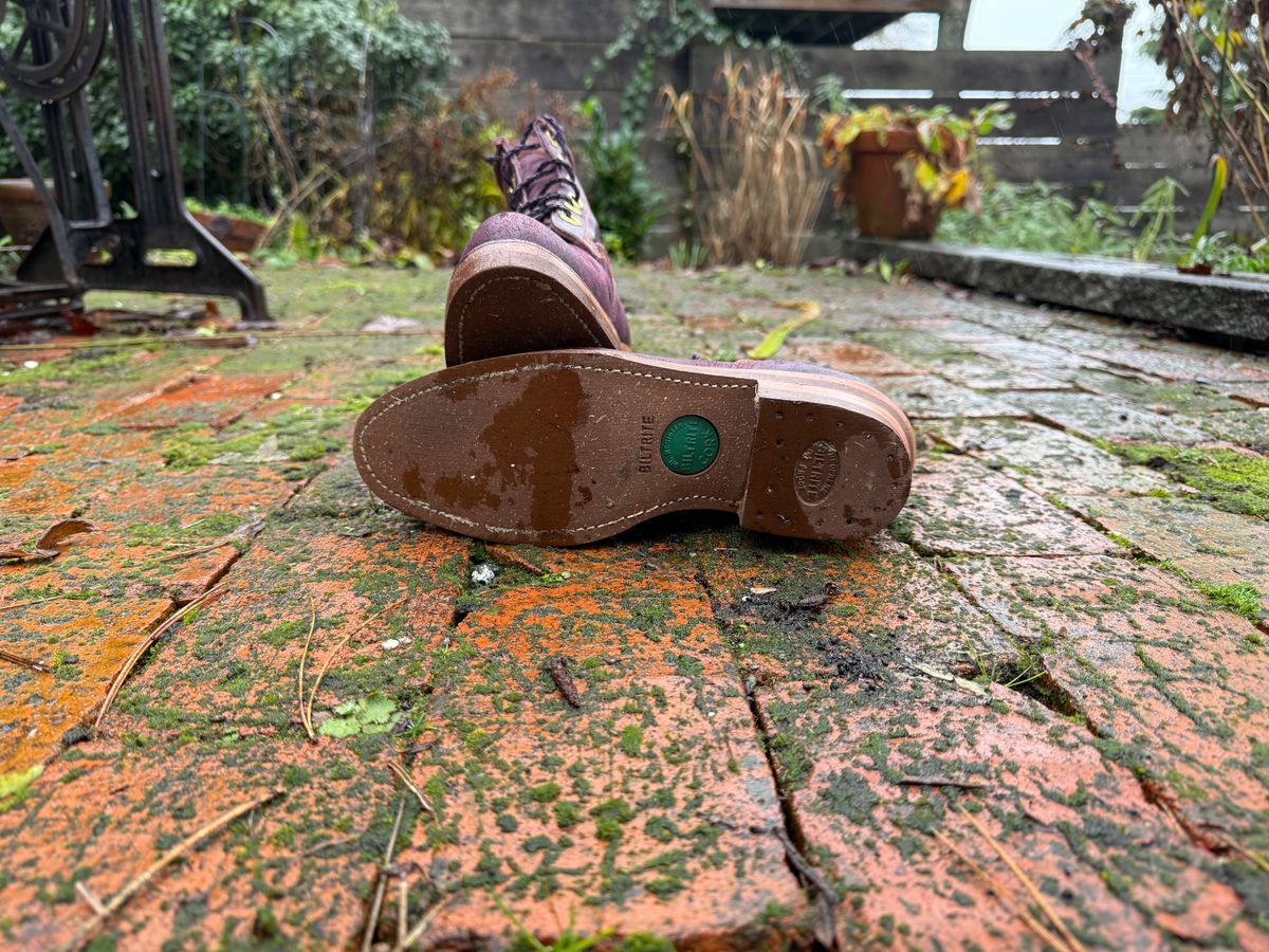 Photo by Dear_suzie on December 5, 2025 of the Dear Suzie Suzie’s Work Boot in Conceria Walpier Violet Buttero.