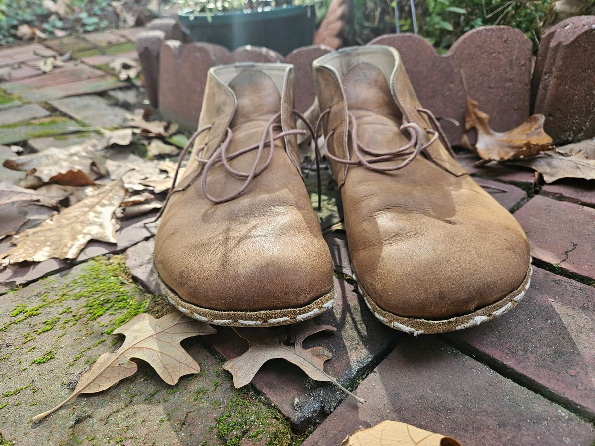 Photo by luekenator on November 4, 2025 of the Atlantis Handmade Shoes Oxford Barefoot Ankle Boots in Zaragoza Brown.