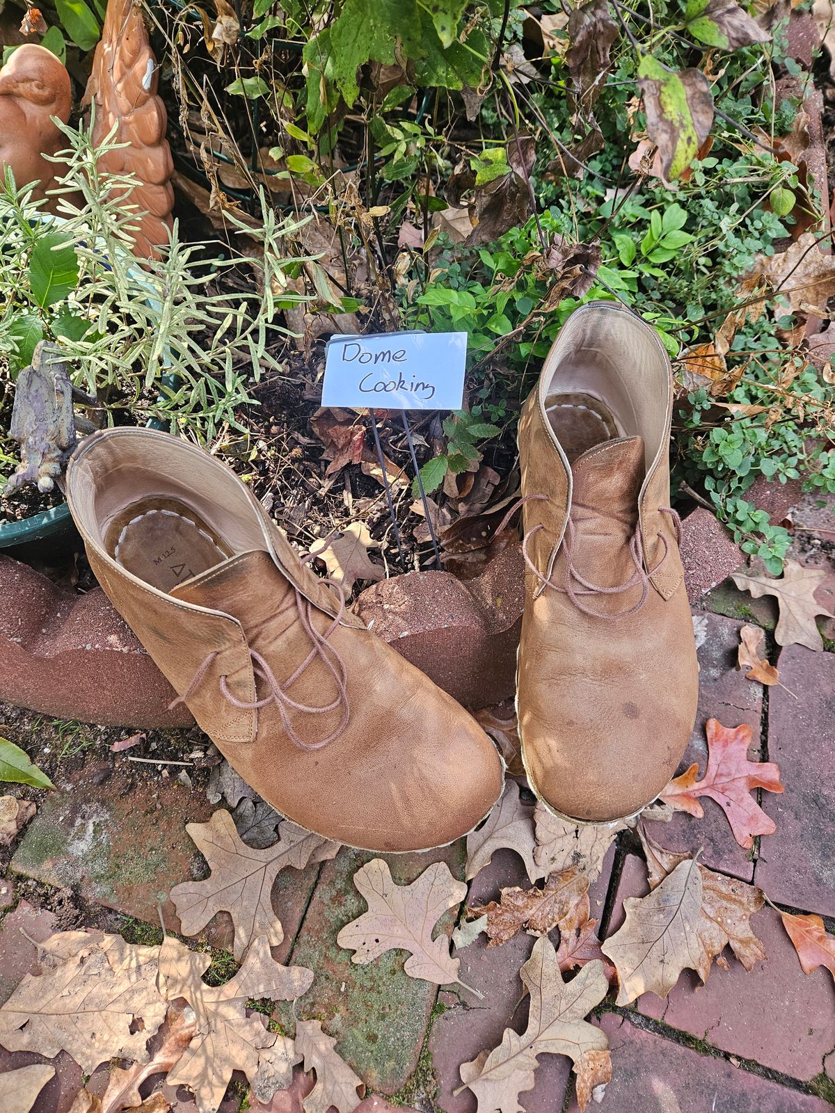 Photo by luekenator on November 4, 2025 of the Atlantis Handmade Shoes Oxford Barefoot Ankle Boots in Zaragoza Brown.