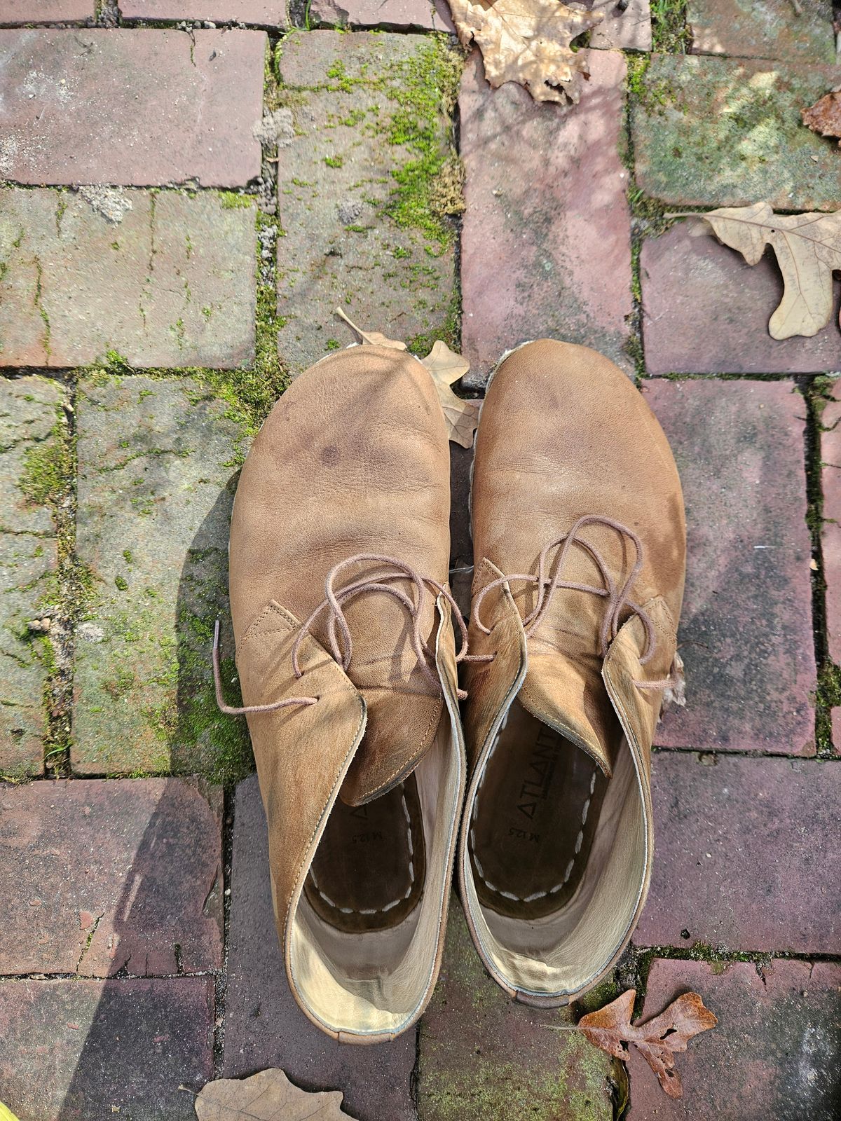Photo by luekenator on November 4, 2025 of the Atlantis Handmade Shoes Oxford Barefoot Ankle Boots in Zaragoza Brown.