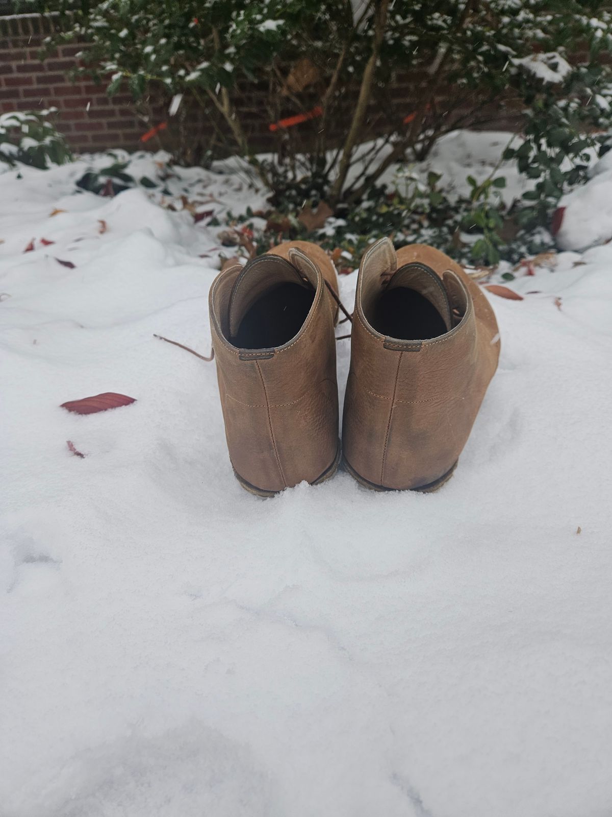 Photo by luekenator on December 1, 2025 of the Atlantis Handmade Shoes Oxford Barefoot Ankle Boots in Zaragoza Brown.