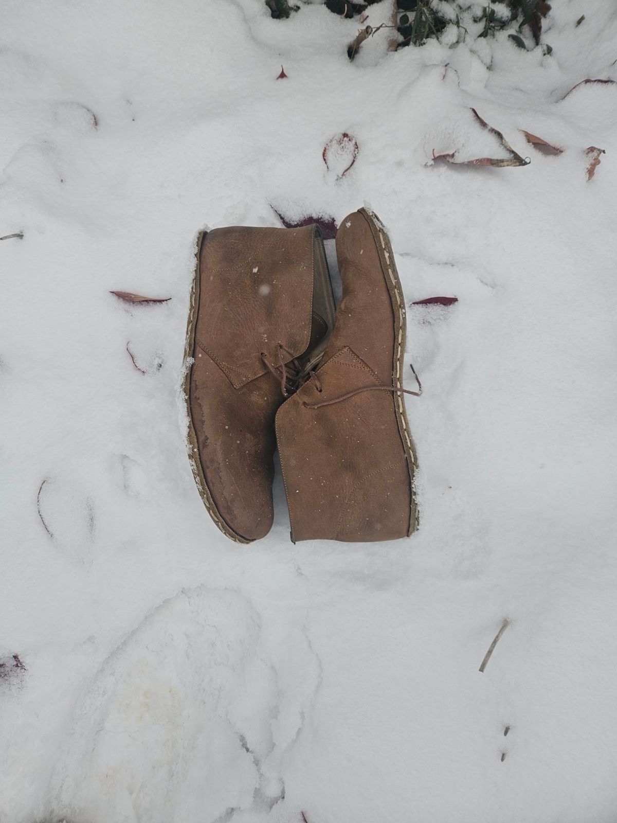 Photo by luekenator on December 1, 2025 of the Atlantis Handmade Shoes Oxford Barefoot Ankle Boots in Zaragoza Brown.