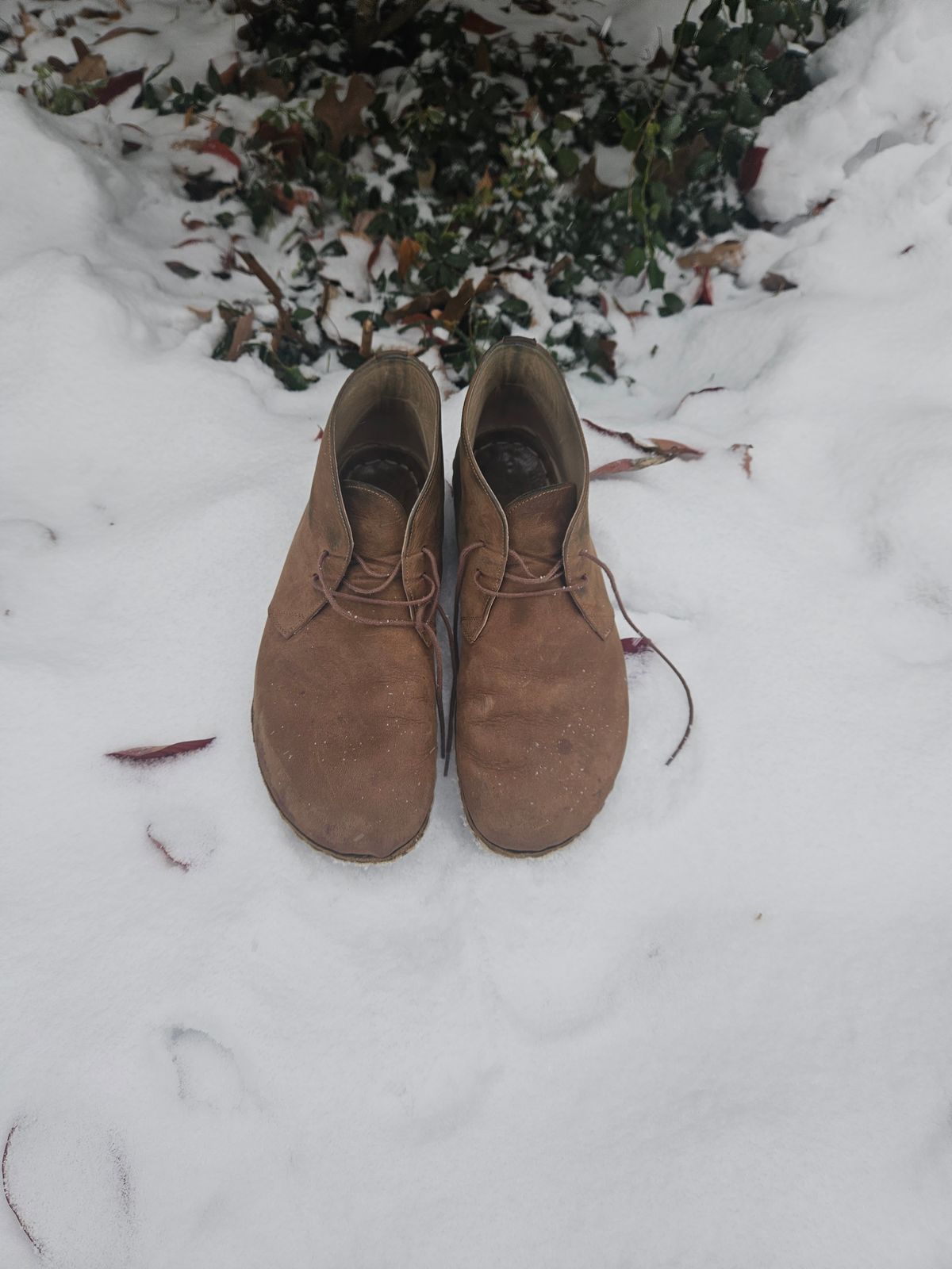 Photo by luekenator on December 1, 2025 of the Atlantis Handmade Shoes Oxford Barefoot Ankle Boots in Zaragoza Brown.