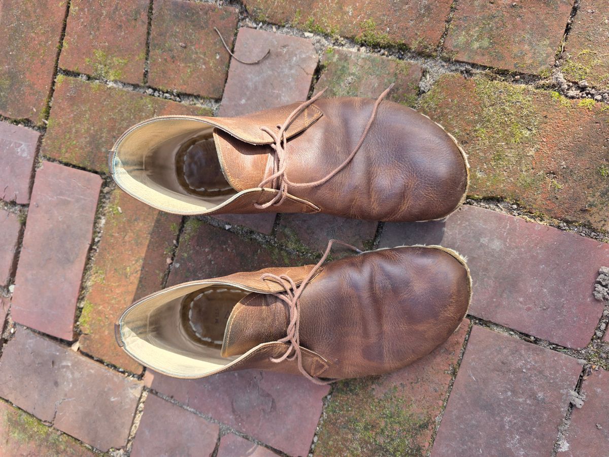 Photo by luekenator on January 5, 2026 of the Atlantis Handmade Shoes Oxford Barefoot Ankle Boots in Zaragoza Brown.
