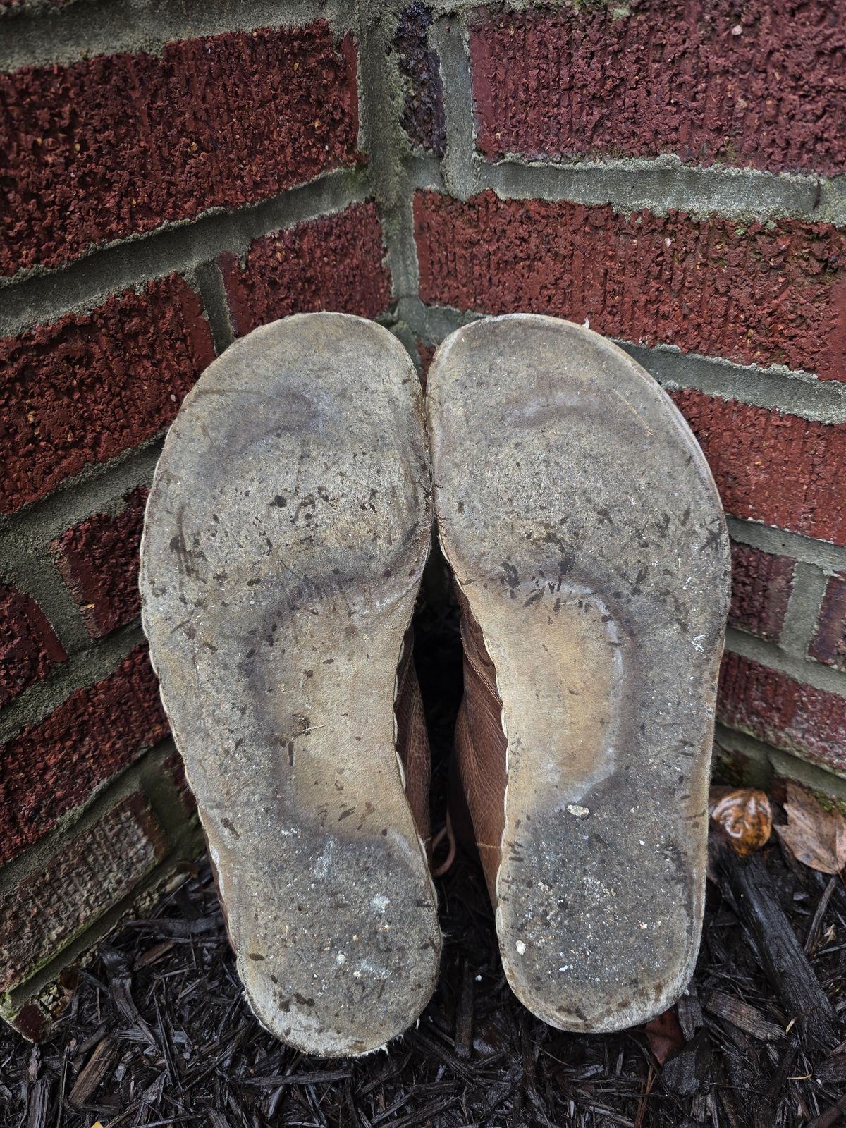 Photo by luekenator on March 4, 2026 of the Atlantis Handmade Shoes Oxford Barefoot Ankle Boots in Zaragoza Brown.