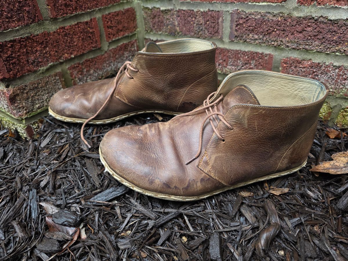 Photo by luekenator on March 4, 2026 of the Atlantis Handmade Shoes Oxford Barefoot Ankle Boots in Zaragoza Brown.