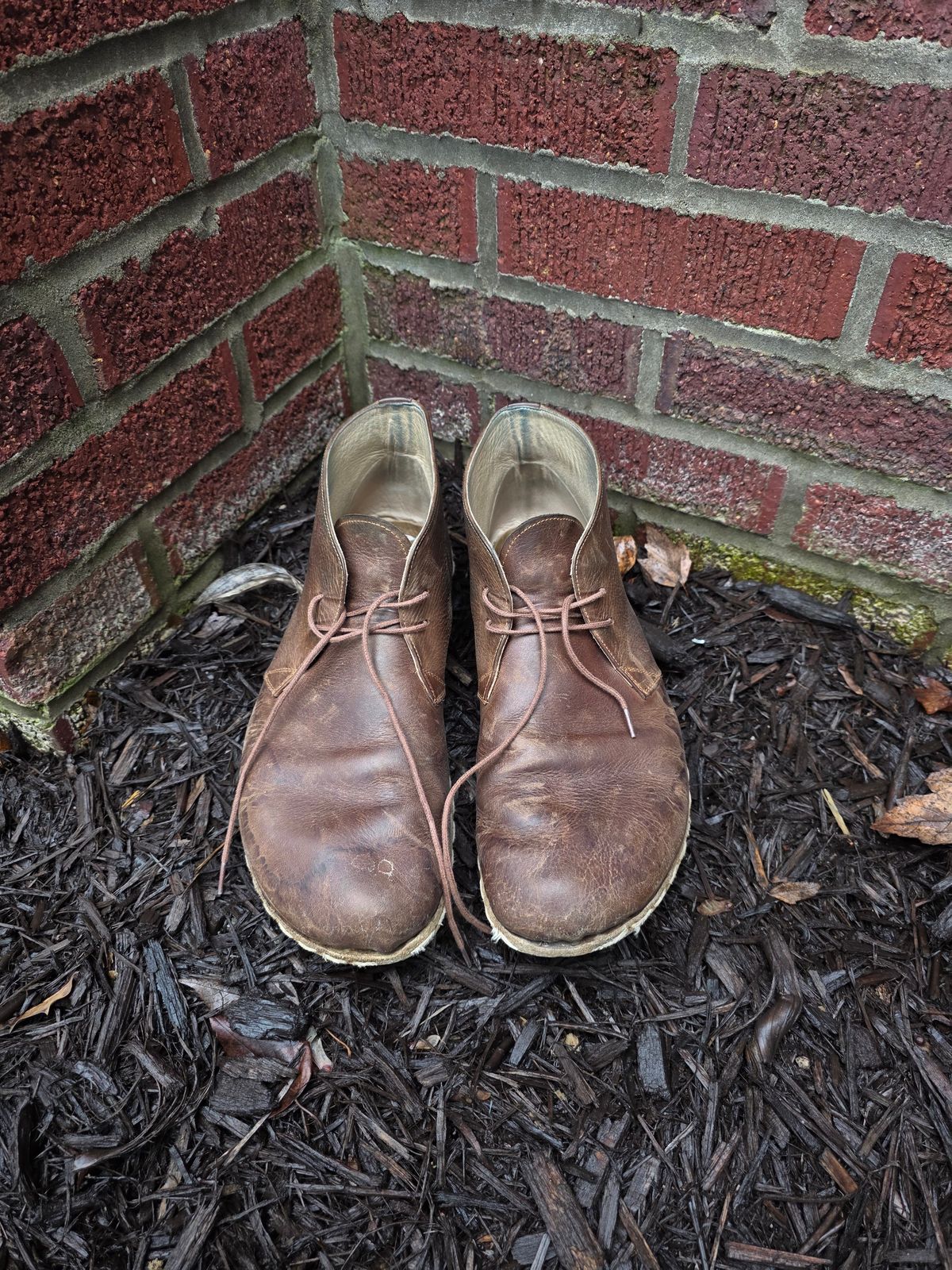 Photo by luekenator on March 4, 2026 of the Atlantis Handmade Shoes Oxford Barefoot Ankle Boots in Zaragoza Brown.